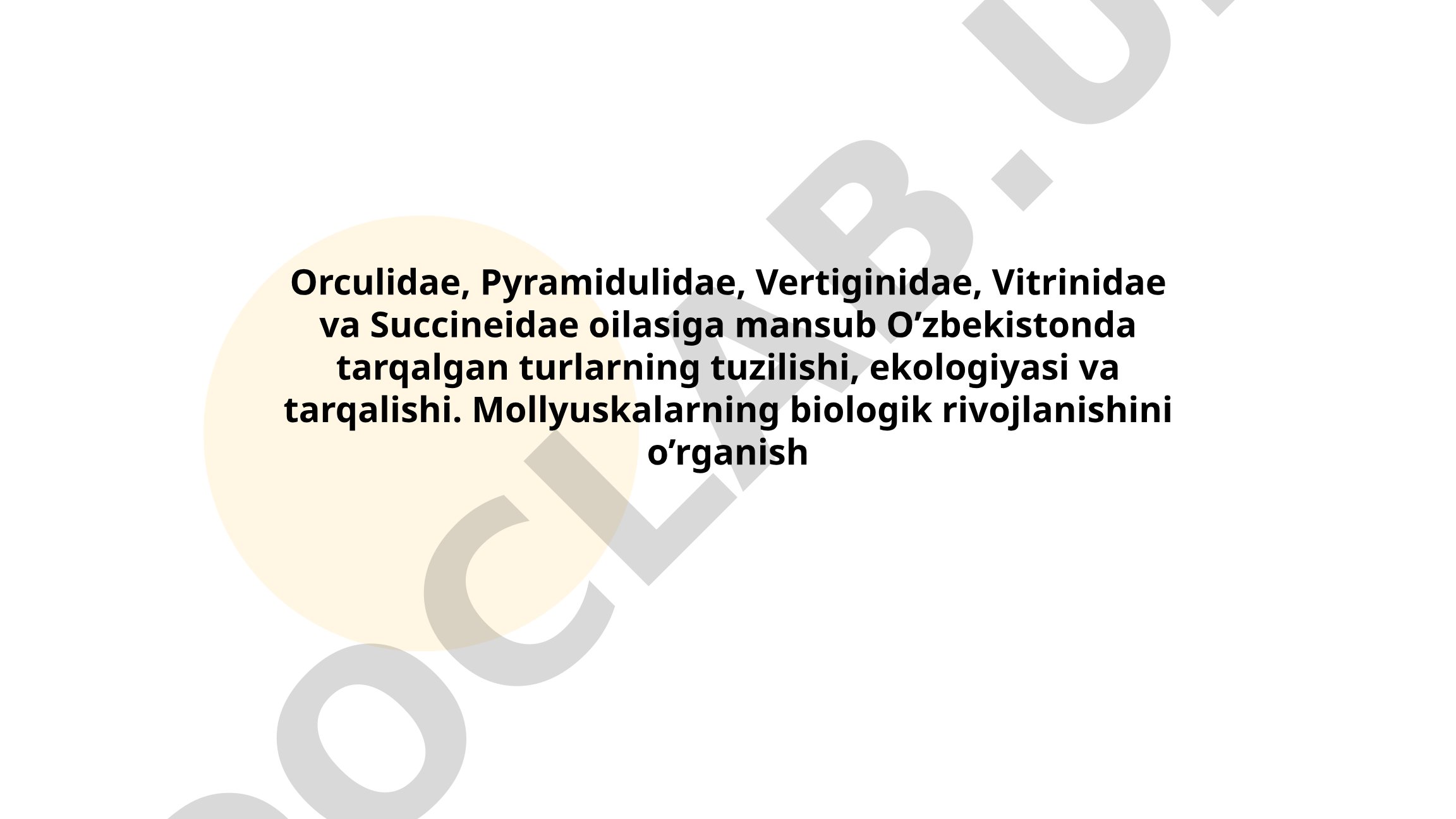 Orculidae, Pyramidulidae, Vertiginidae, Vitrinidae va Succineidae oilasiga mansub O'zbekistonda tarqalgan turlarning tuzilishi, ekologiyasi va tarqalishi