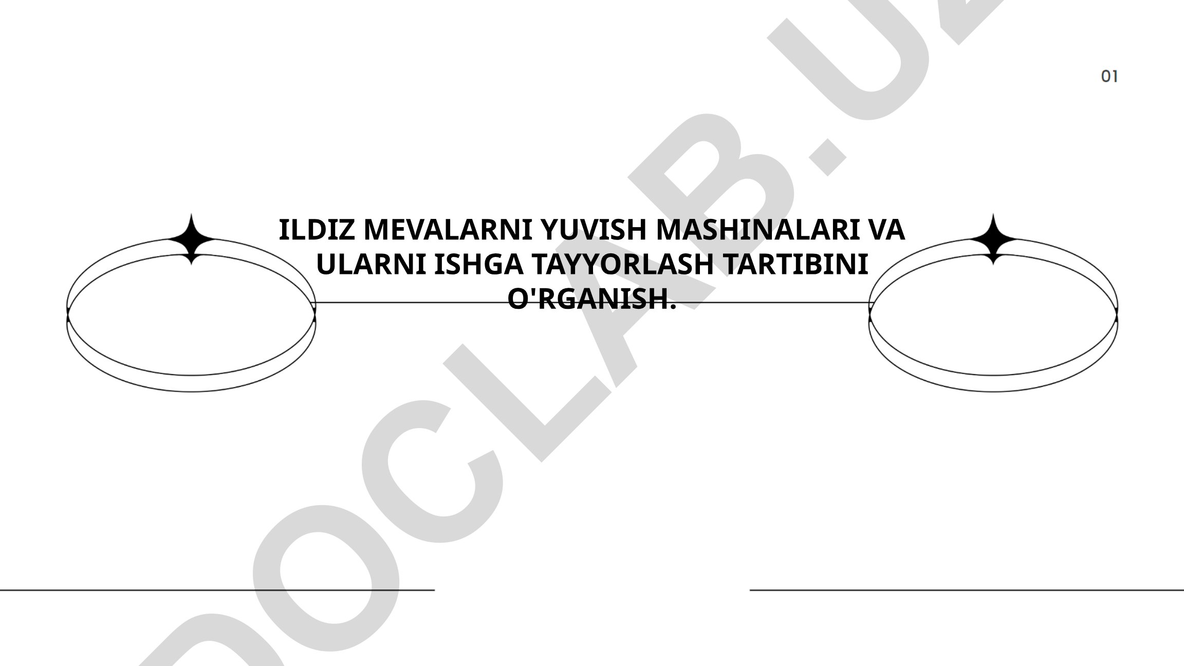 Ildiz mevalarni yuvish mashinalari va ularni ishga tayyorlash tartibi