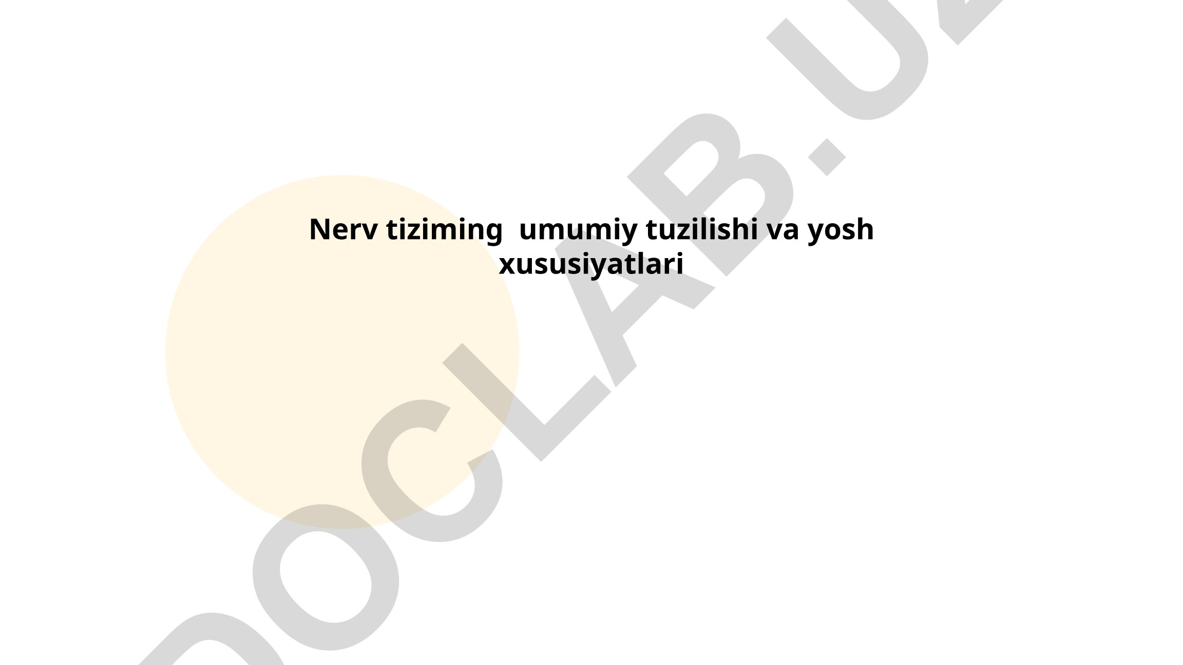 Nerv tiziming umumiy tuzilishi va yosh xususiyatlari