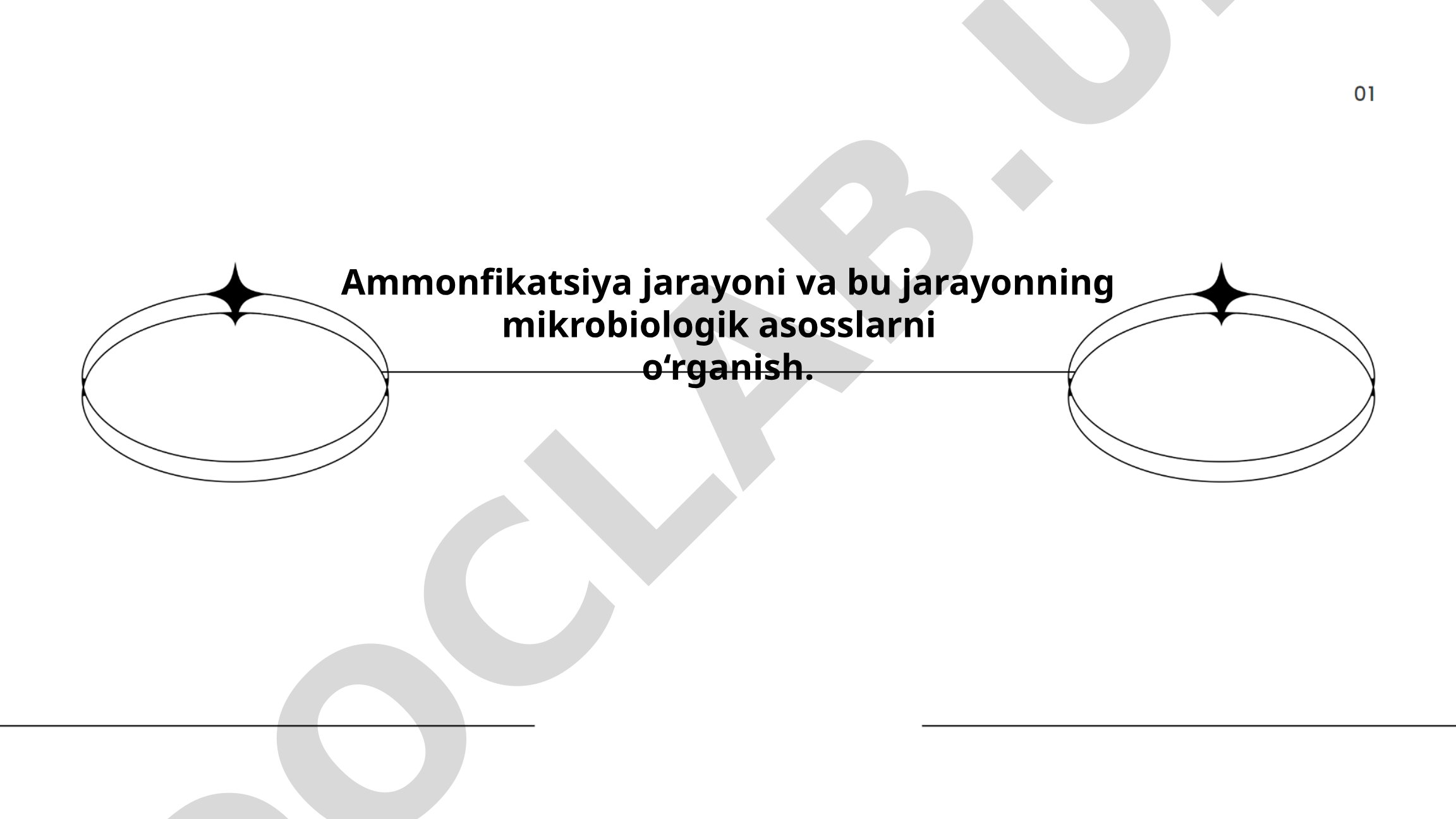 Ammonifikatsiya jarayoni va mikrobiologik asoslari