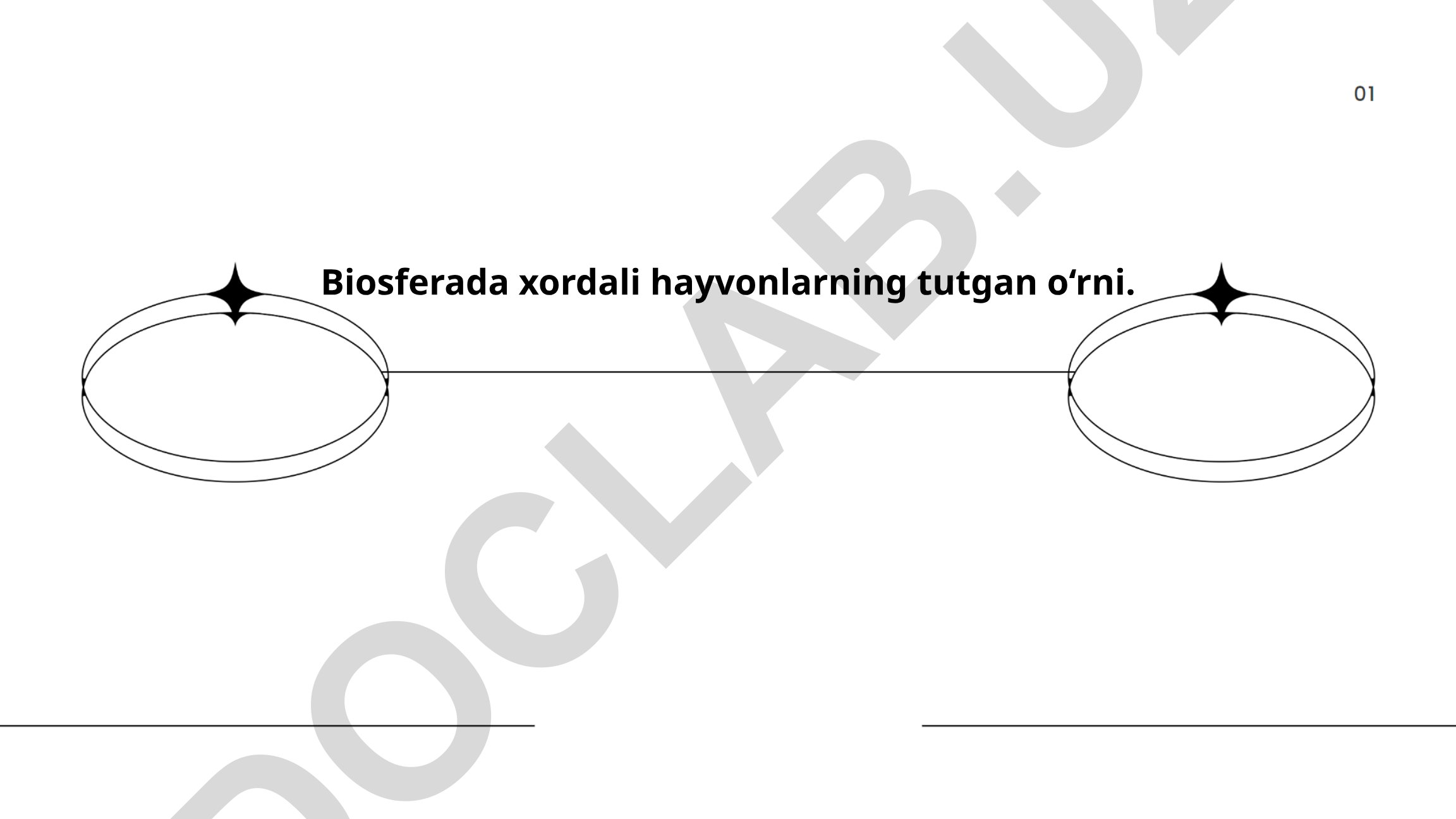 Biosferada xordali hayvonlarning tutgan o‘rni