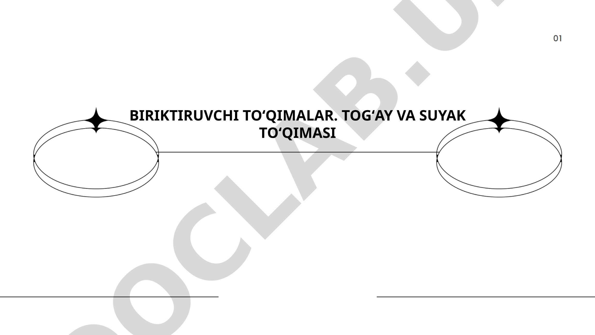 Biriktiruvchi toʻqimalar: Togʻay va suyak toʻqimasi
