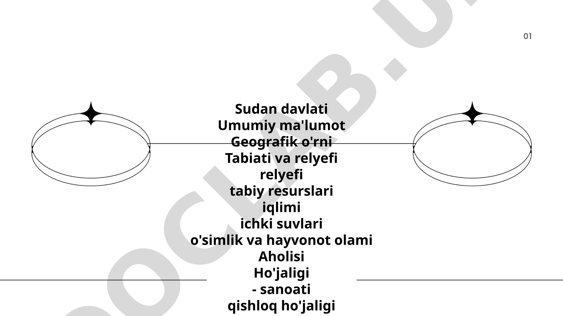 Sudan davlati umumiy ma'lumot