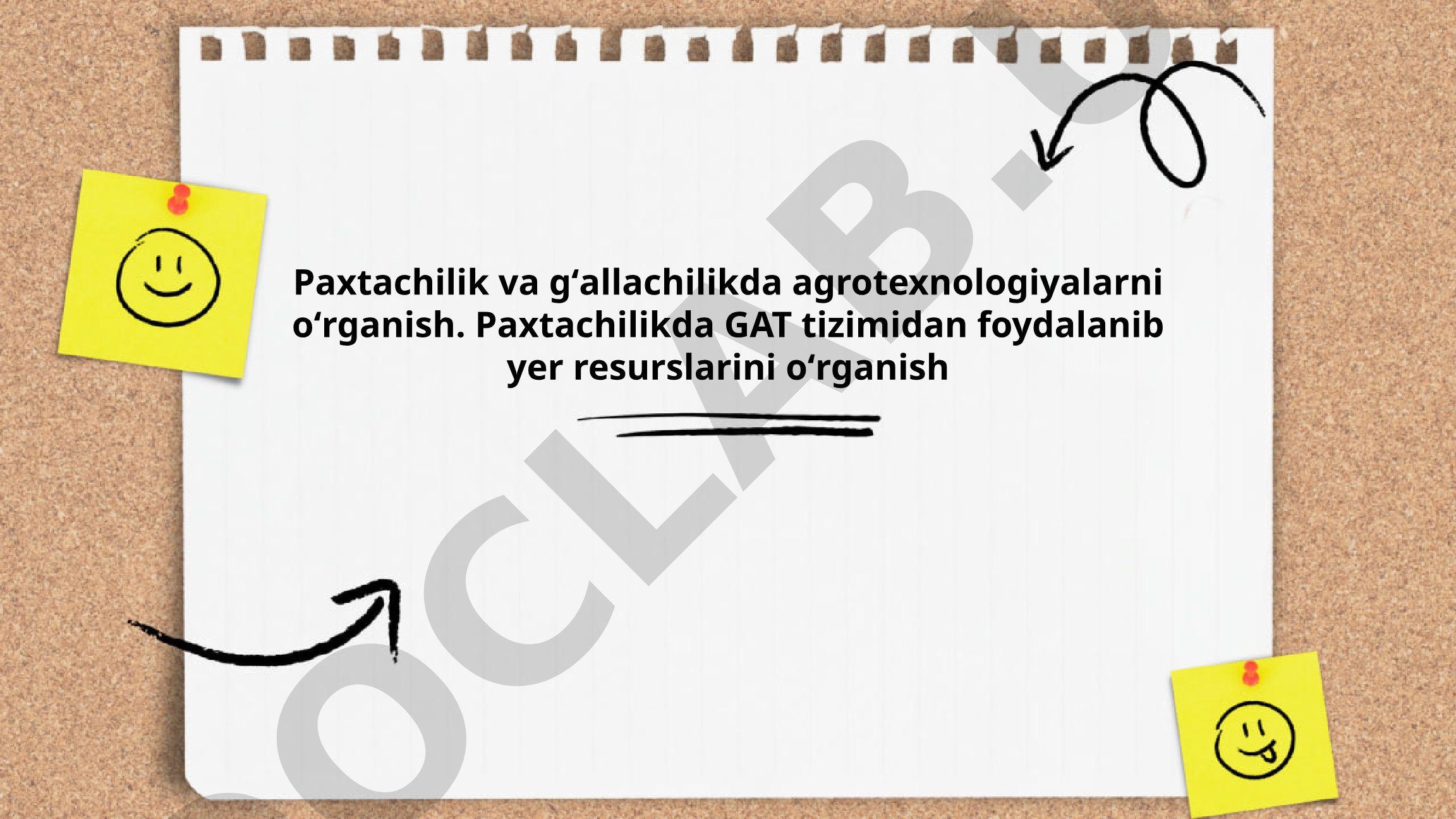 Paxtachilik va gʻallachilikda agrotexnologiyalarni oʻrganish