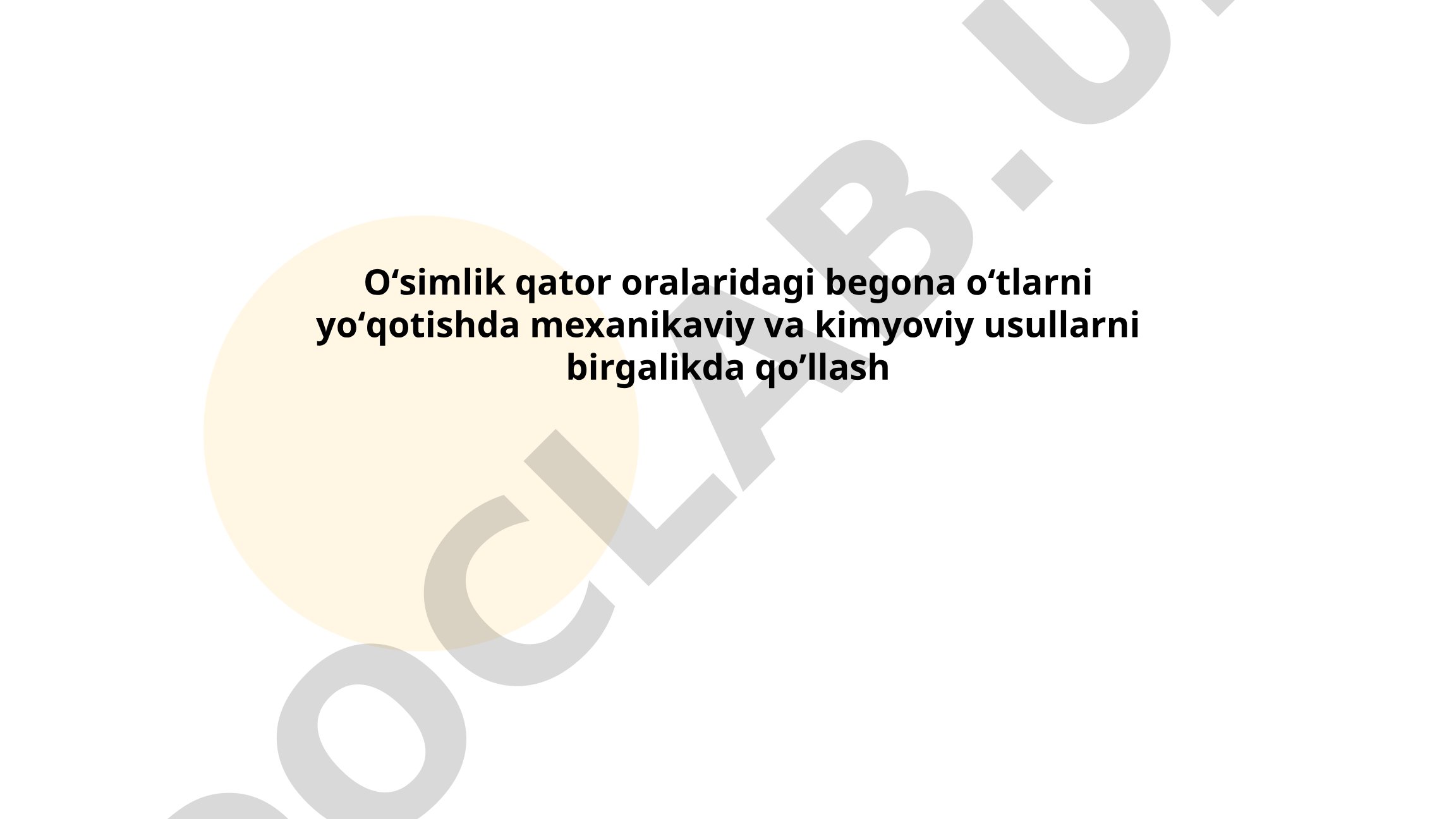 O'simlik qator oralaridagi begona o'tlarni yo'qotishda mexanikaviy va kimyoviy usullarni birgalikda qo'llash