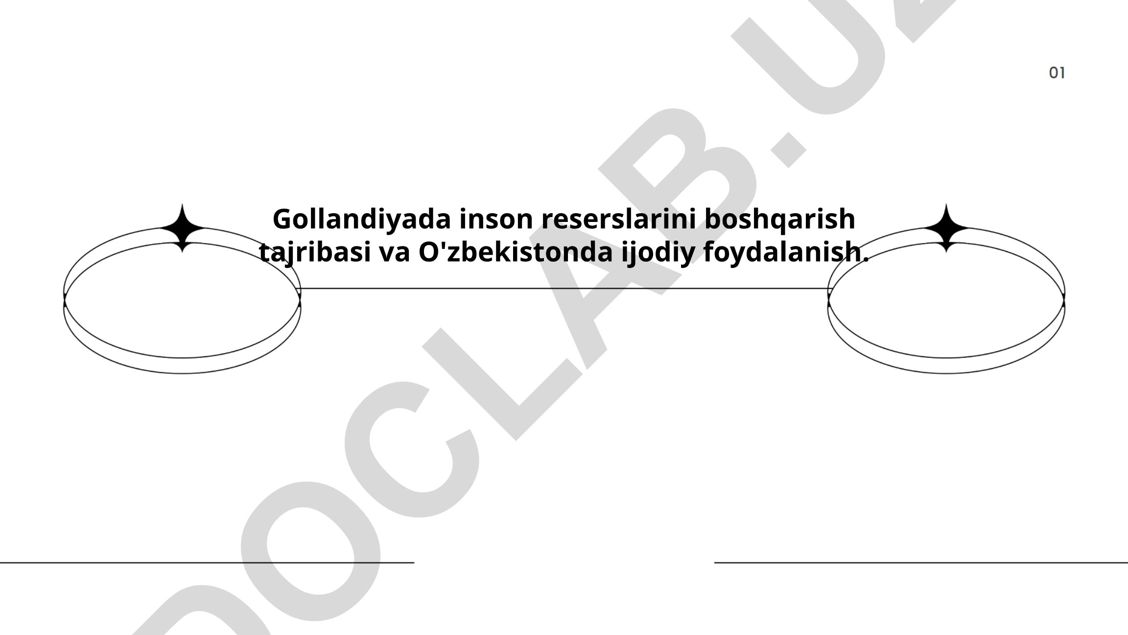 Gollandiyada inson resurslarini boshqarish tajribasi va O'zbekistonda ijodiy foydalanish