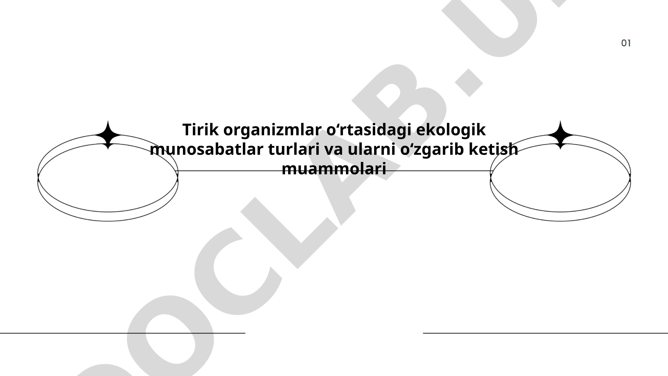 Tirik organizmlar o‘rtasidagi ekologik munosabatlar turlari va ularni o‘zgarib ketish muammolari