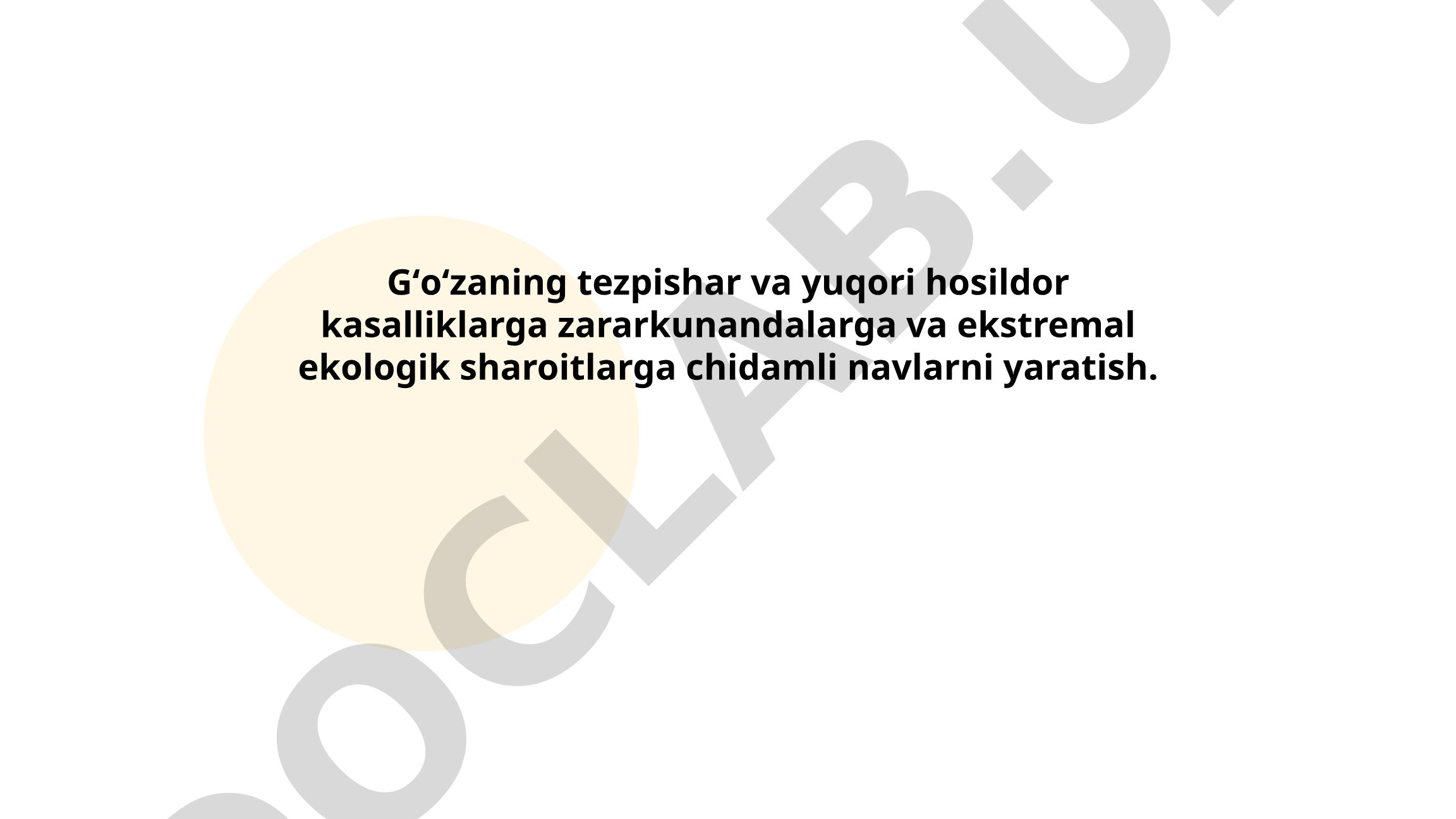 G'o'zaning tezpishar va yuqori hosildor ,kasalliklarga, zararkunandalarga va ekstremal ekologik sharoitlarga chidamli navlarini yaratish