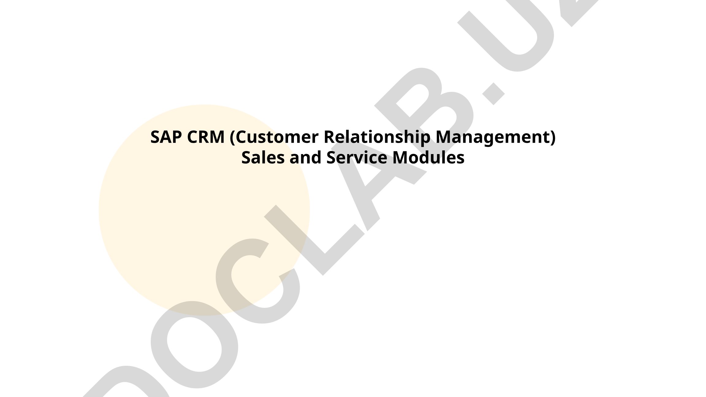 SAP CRM Sales and Service Modules