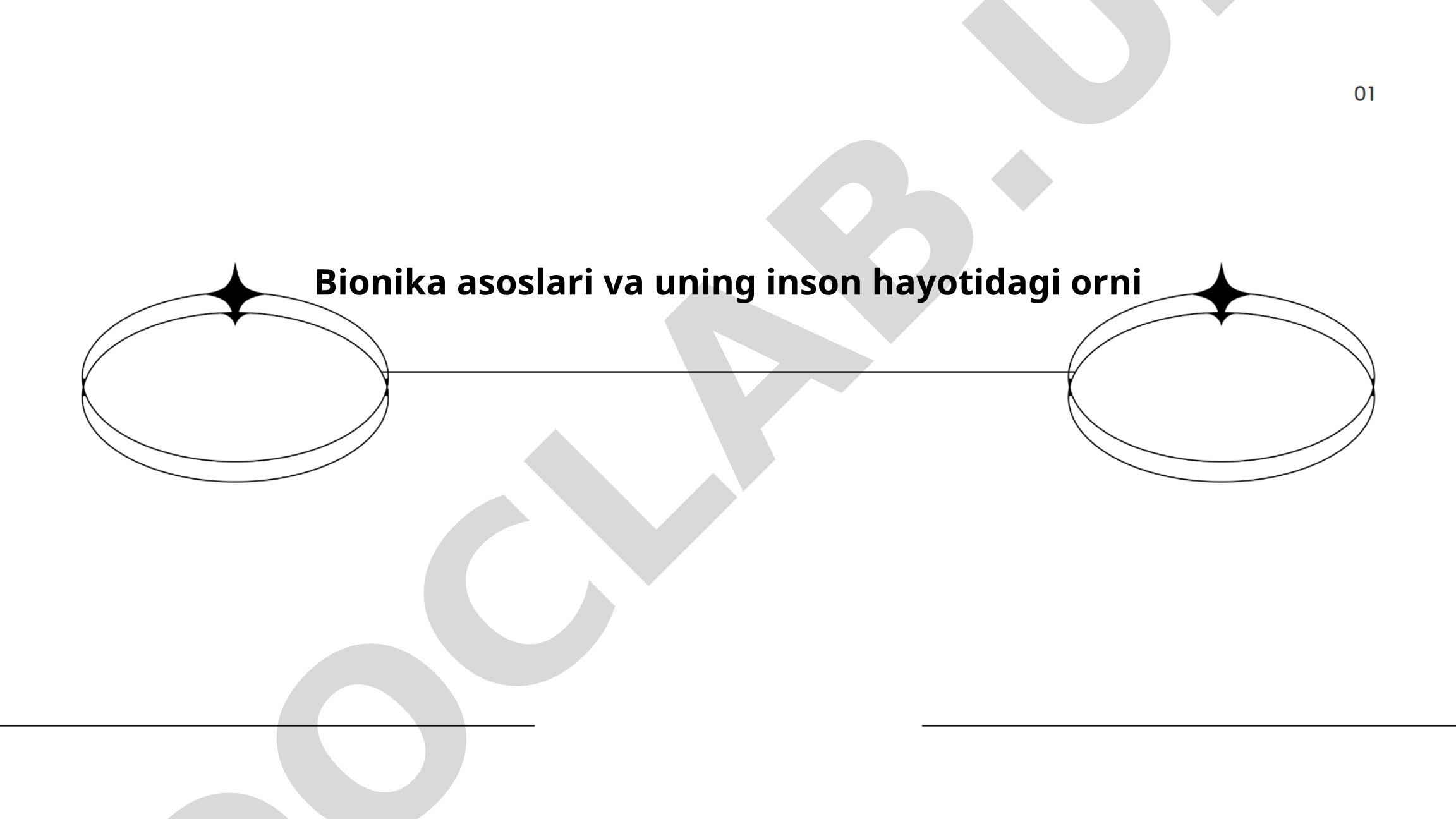 Bionika asoslari va uning inson hayotidagi o'rni