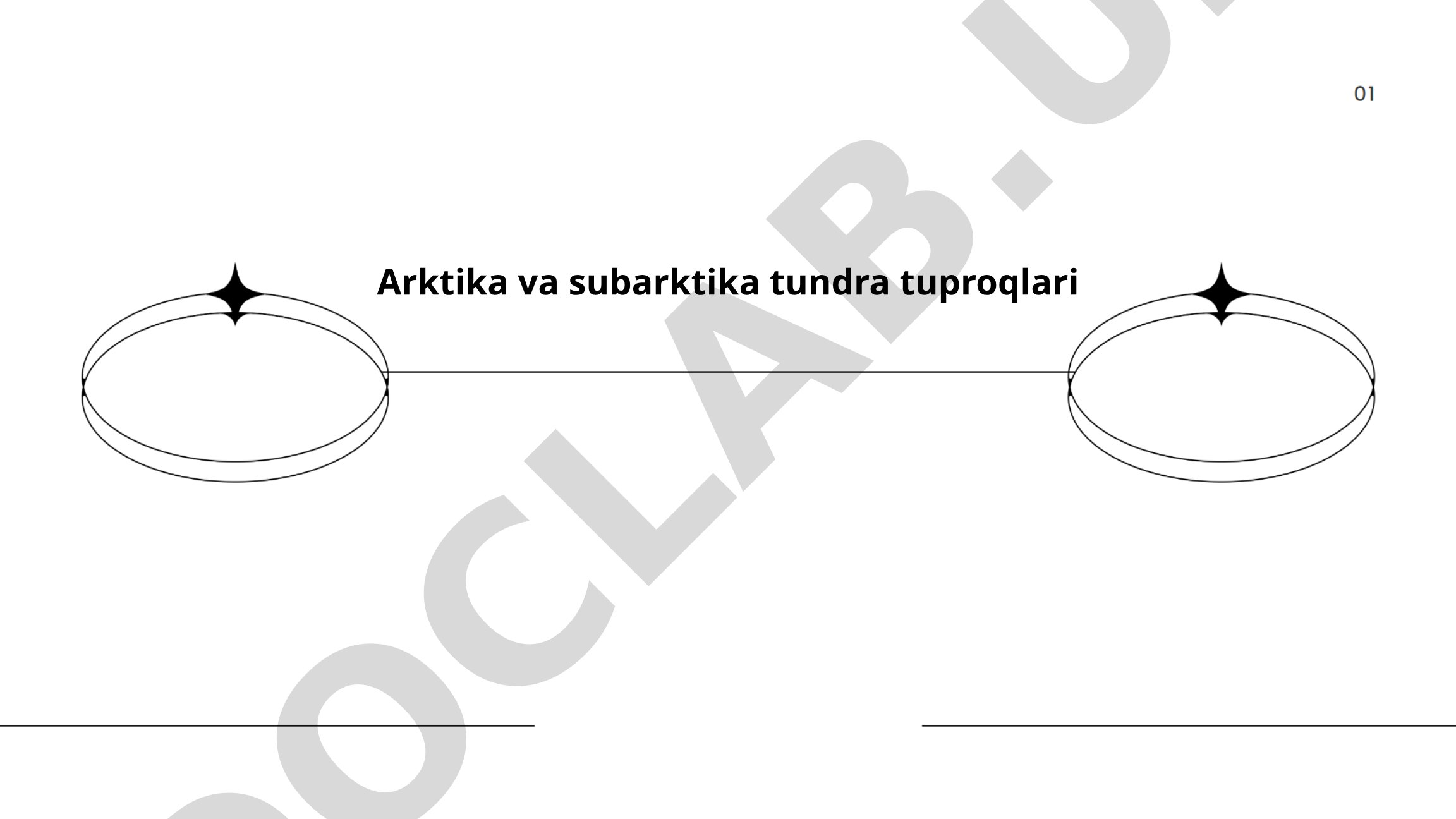 Arktika va subarktika tundra tuproqlari