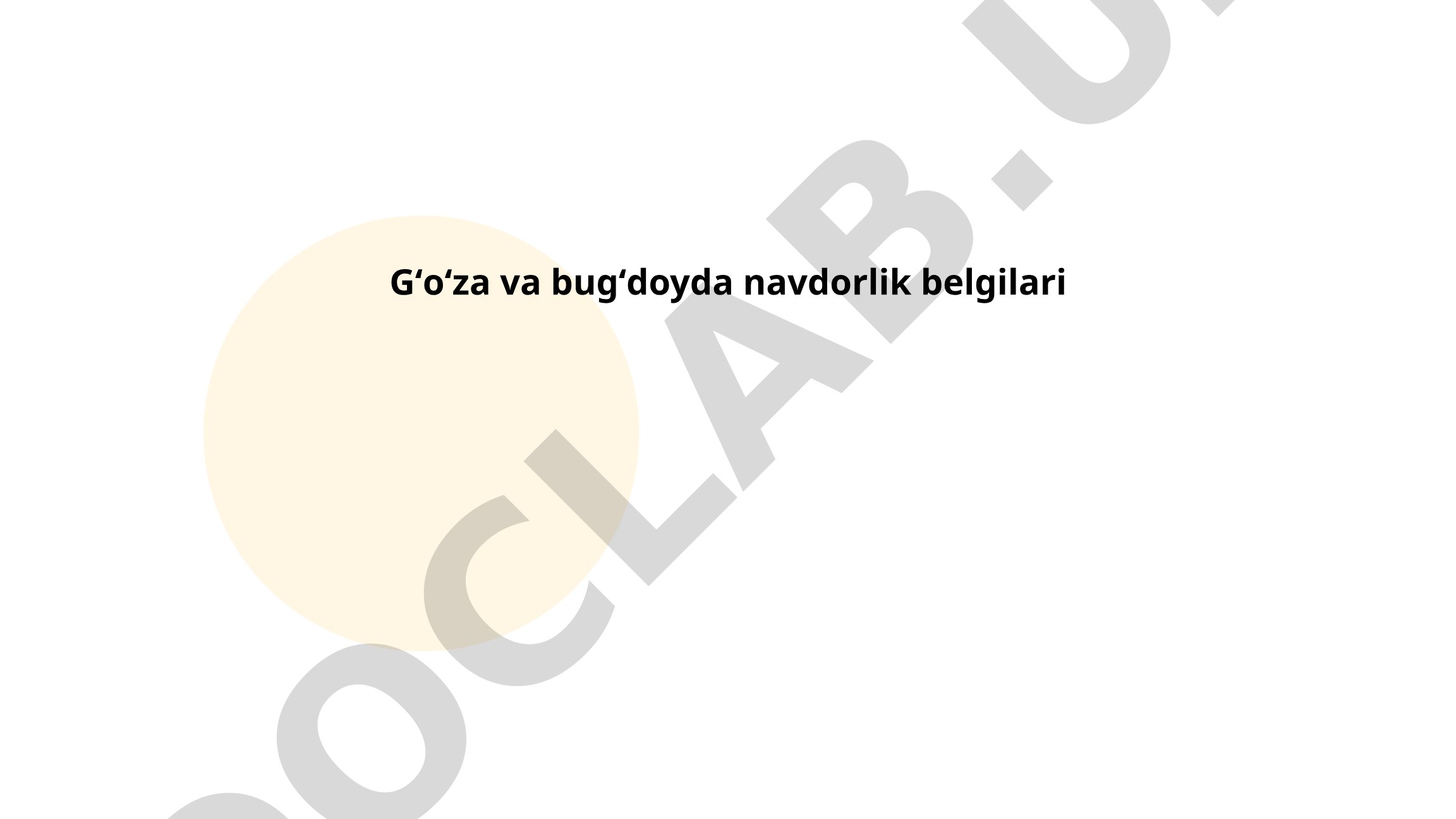 Gʻoʻza va bugʻdoyda navdorlik belgilari