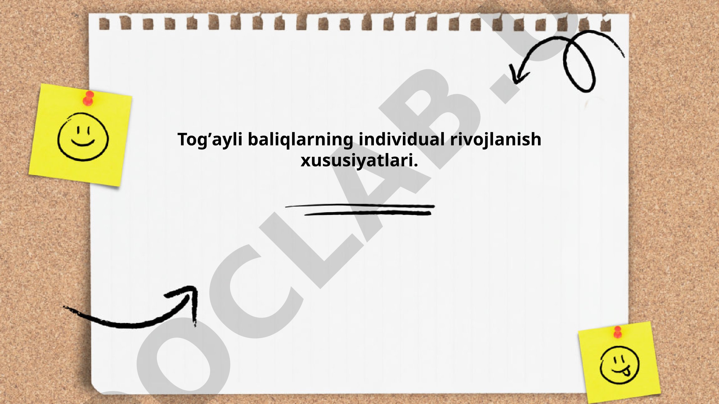 Tog'ayli baliqlarning individual rivojlanish xususiyatlari