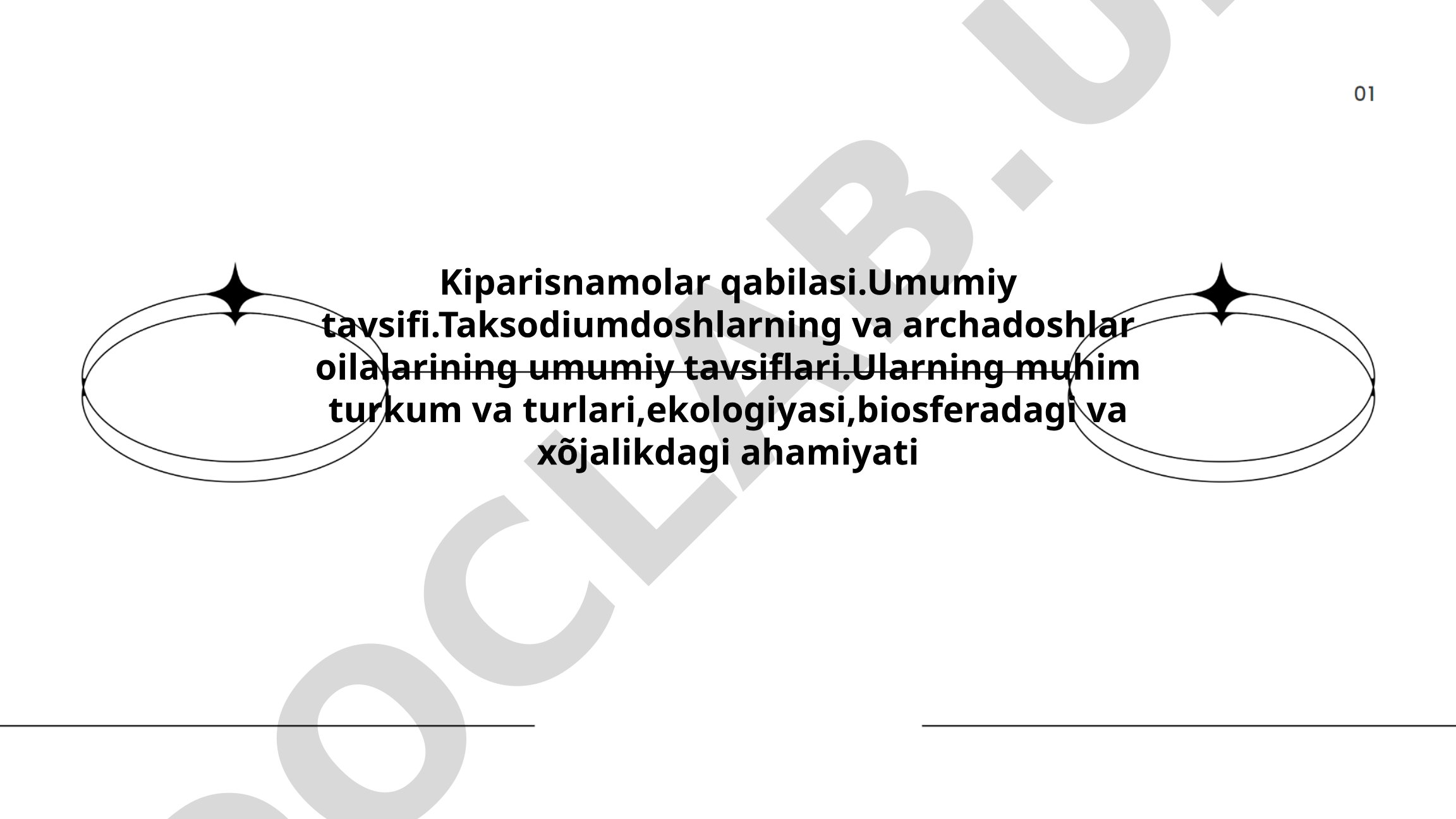 Kiparisnamolar qabilasi va uning oilalarining tavsifi