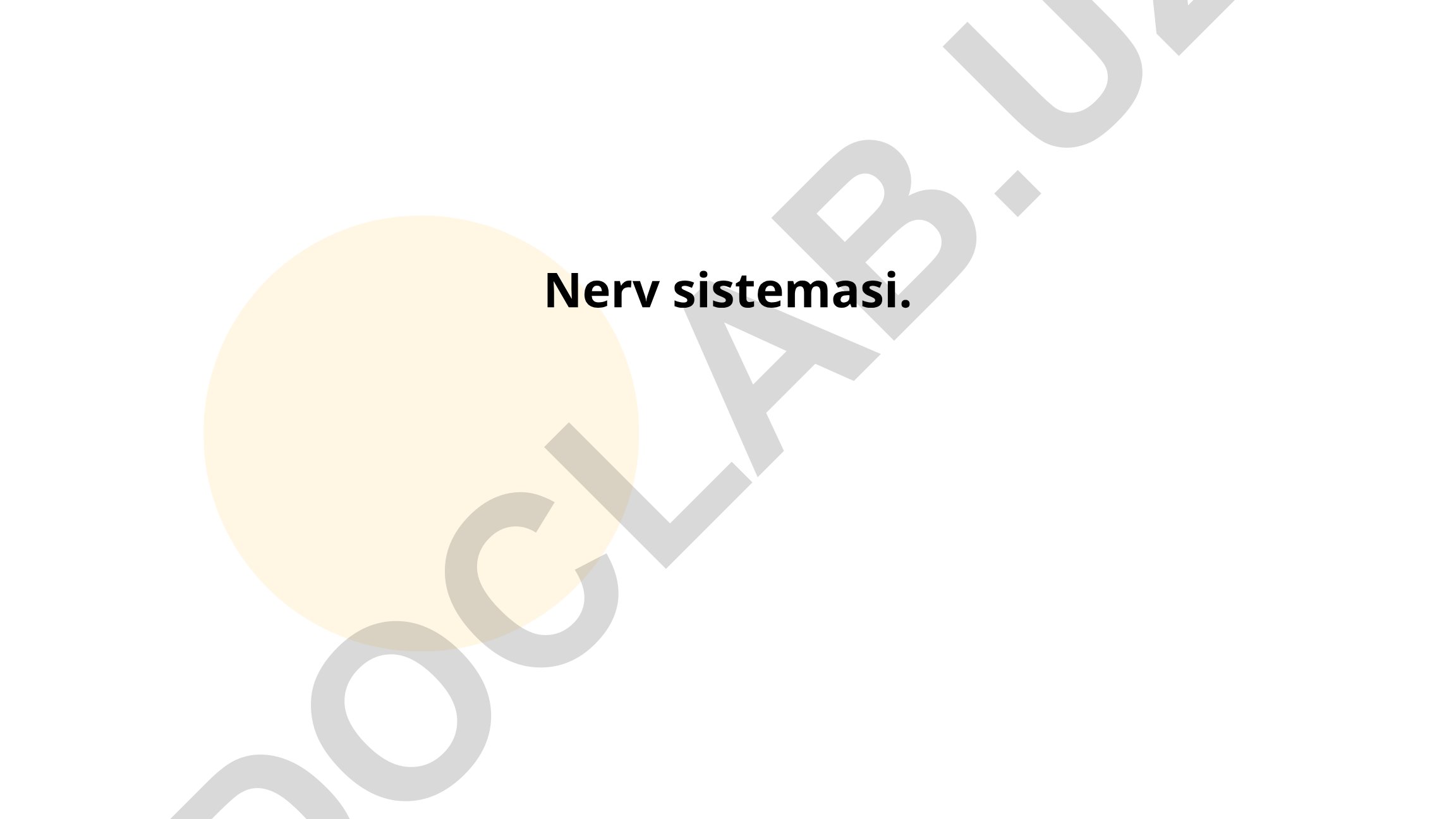 Nerv sistemasi tuzilishi va funksiyalari