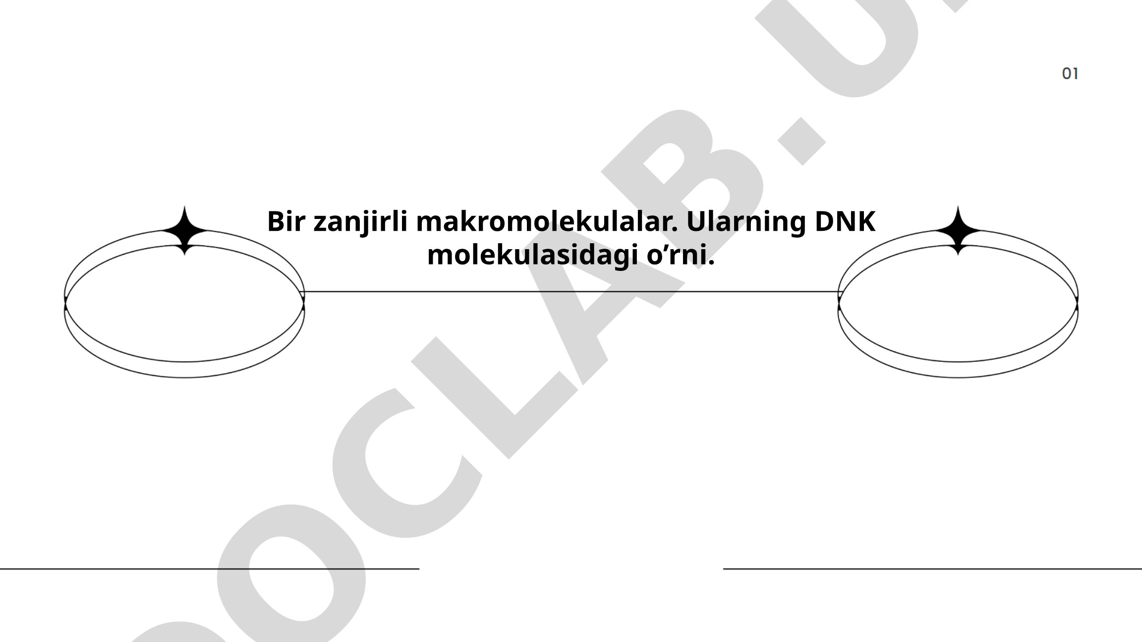 Bir zanjirli makromolekulalar va ularning DNK molekulasidagi o'rni
