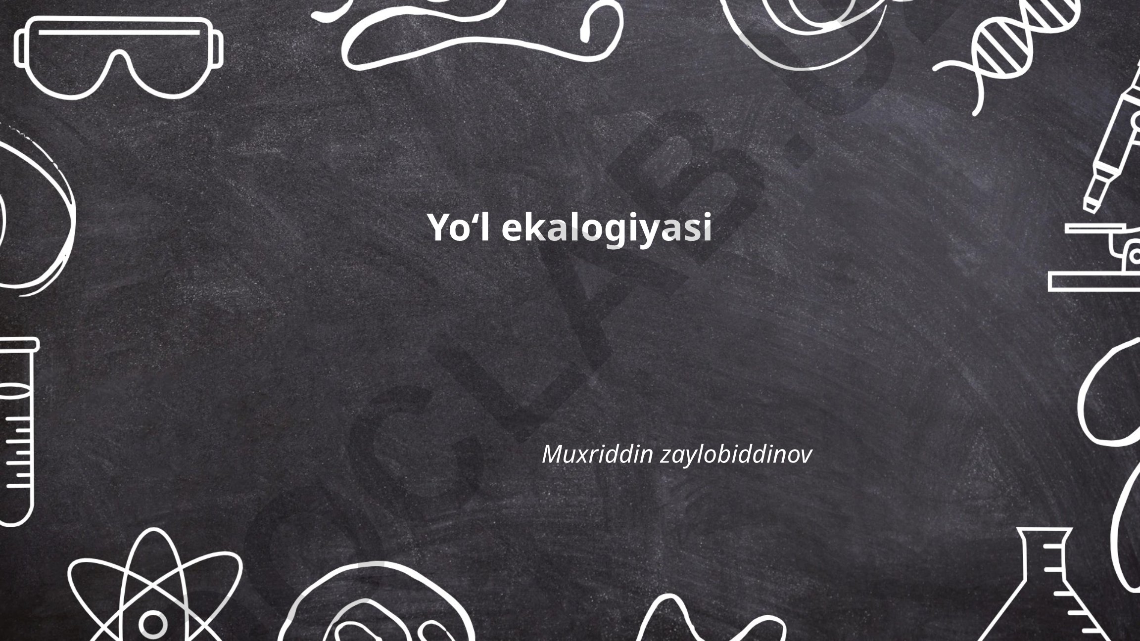 Yoʻl ekalogiyasi: tarixi, transportning atrof-muhitga ta'siri va ifloslanish