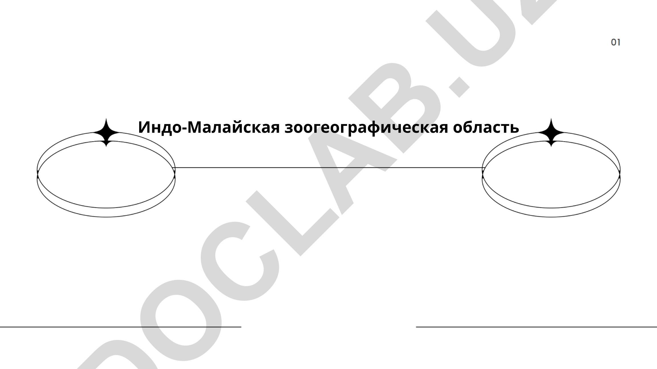 Индо-Малайская зоогеографическая область