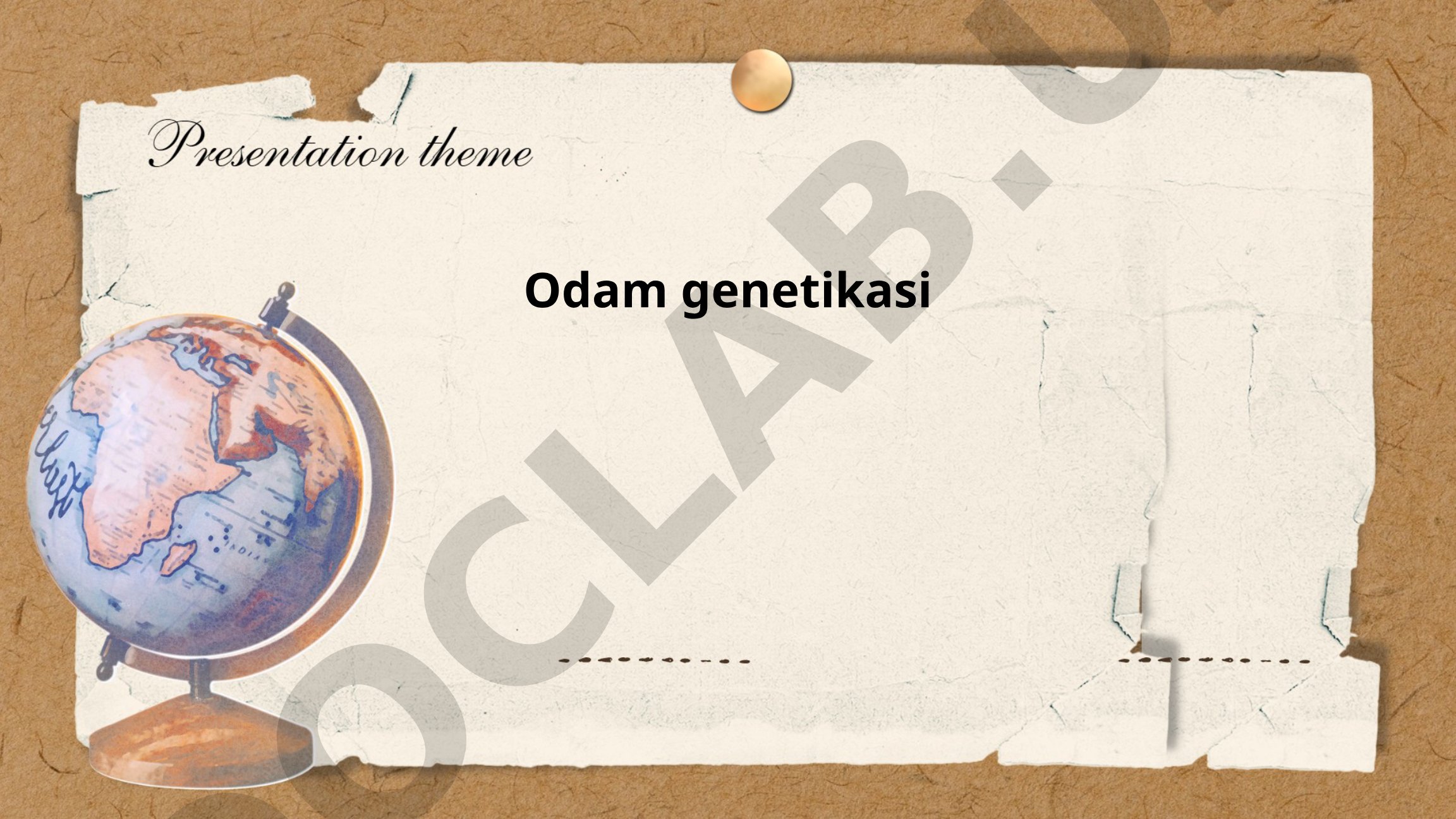 Odam genetikasi