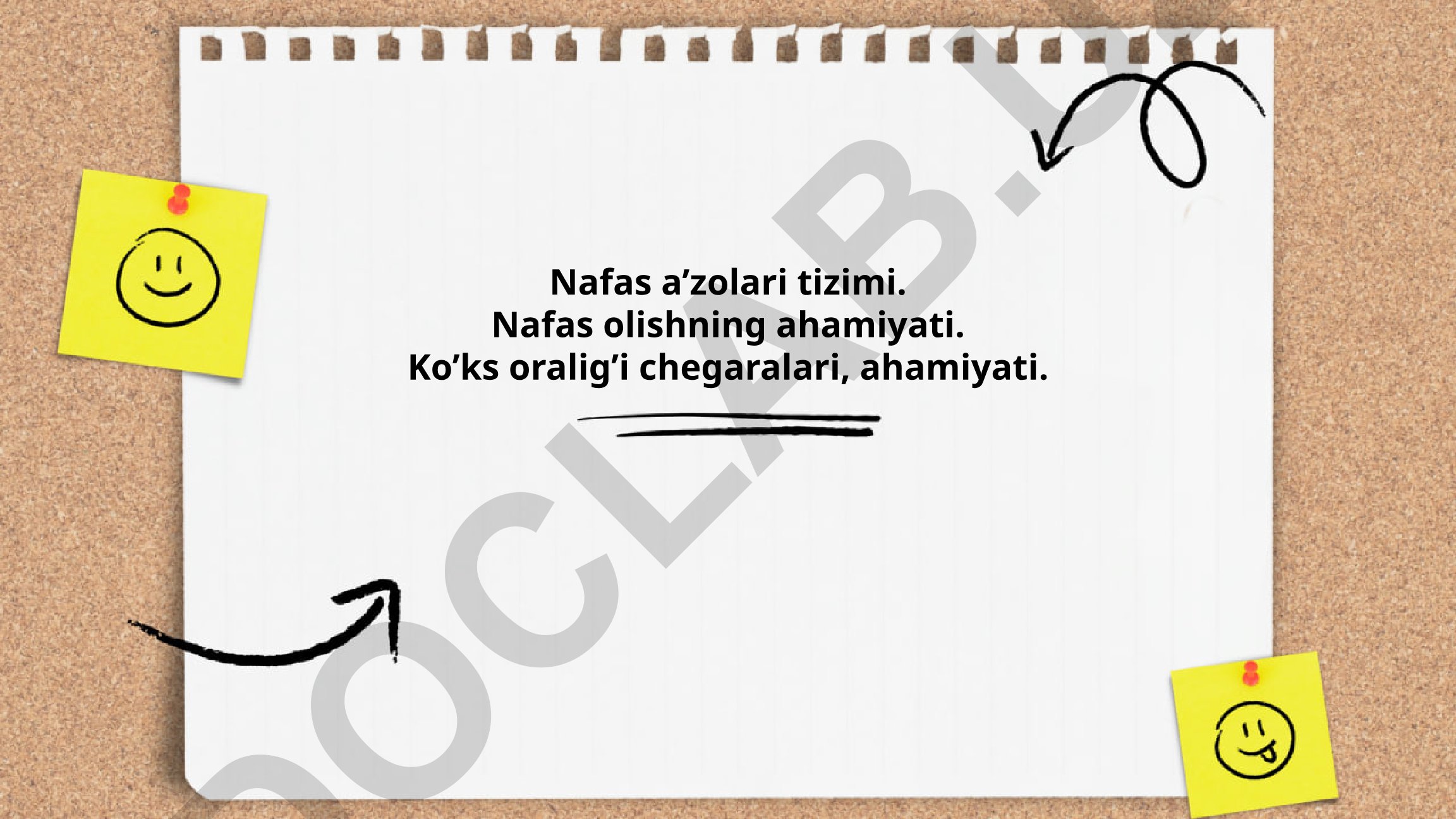 Nafas a'zolari tizimi va nafas olishning ahamiyati