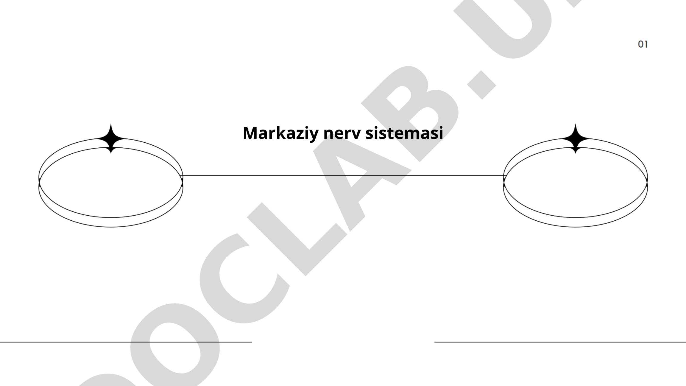 Markaziy nerv sistemasi tuzilishi va funktsiyalari