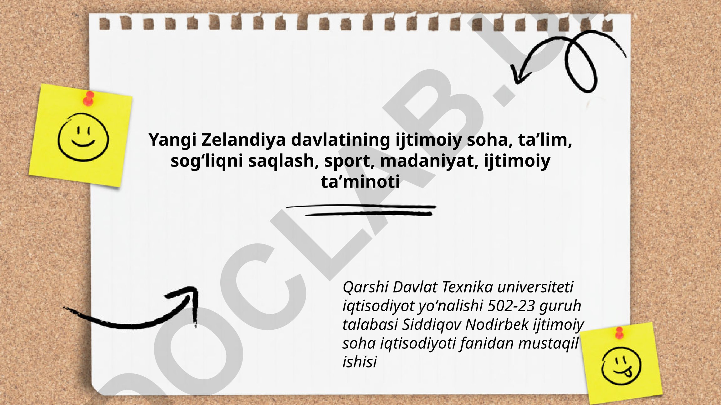 Yangi Zelandiyaning ijtimoiy soha tizimlari