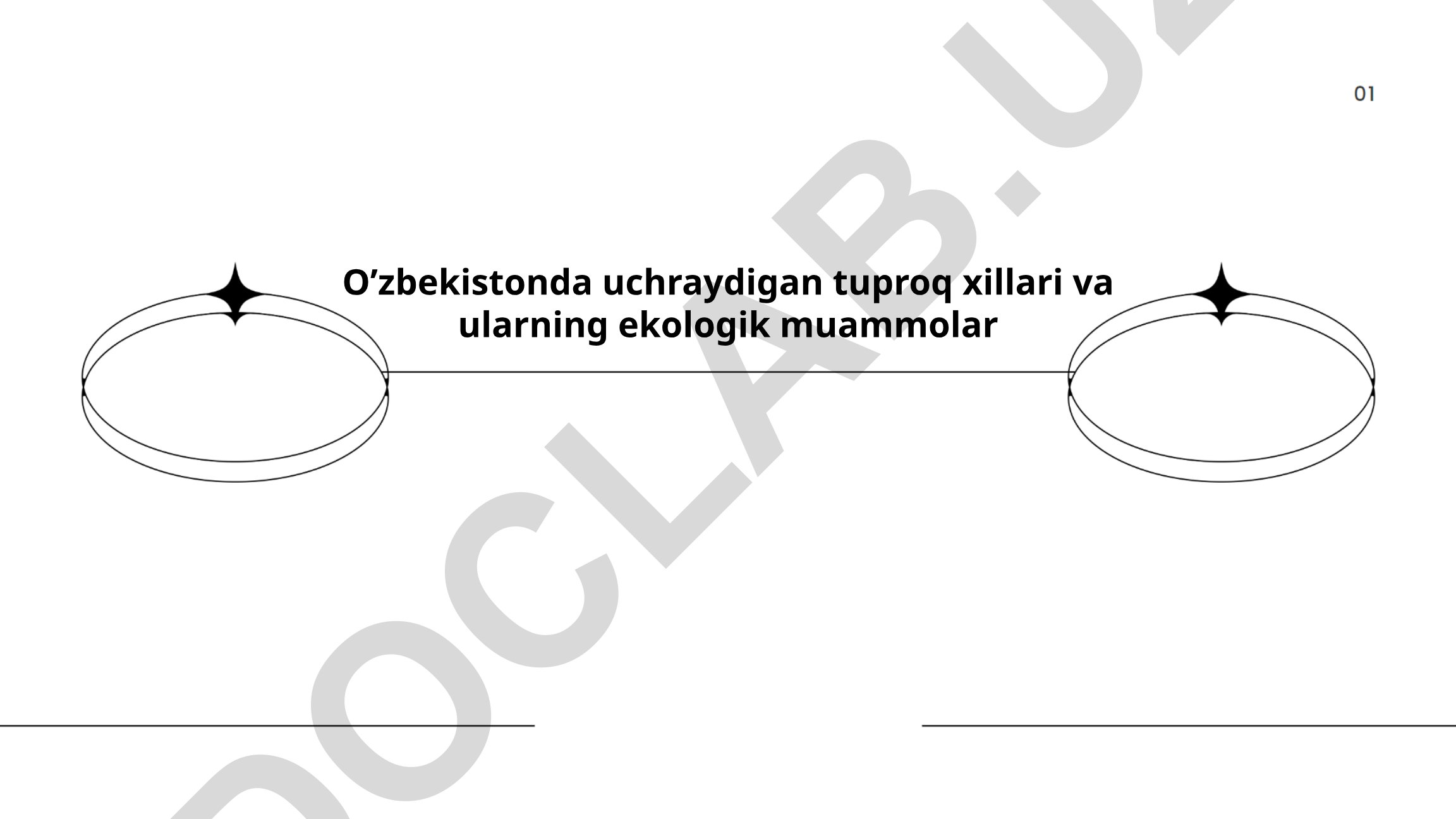 O'zbekistonda uchraydigan tuproq xillari va ularning ekologik muammolari