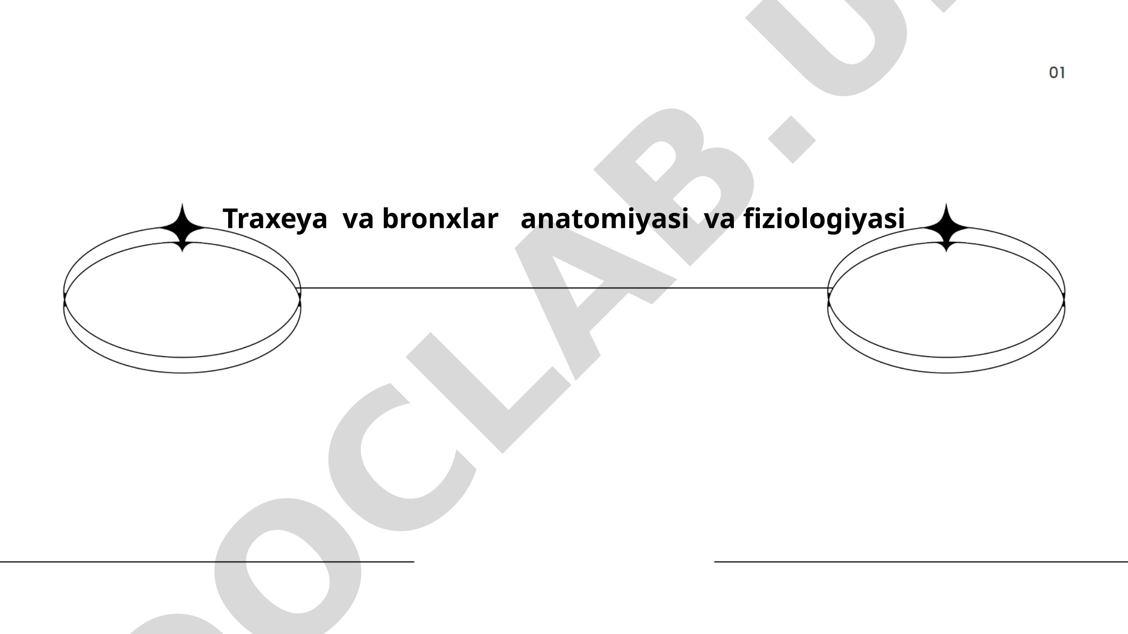 Traxeya va bronxlar anatomiyasi va fiziologiyasi