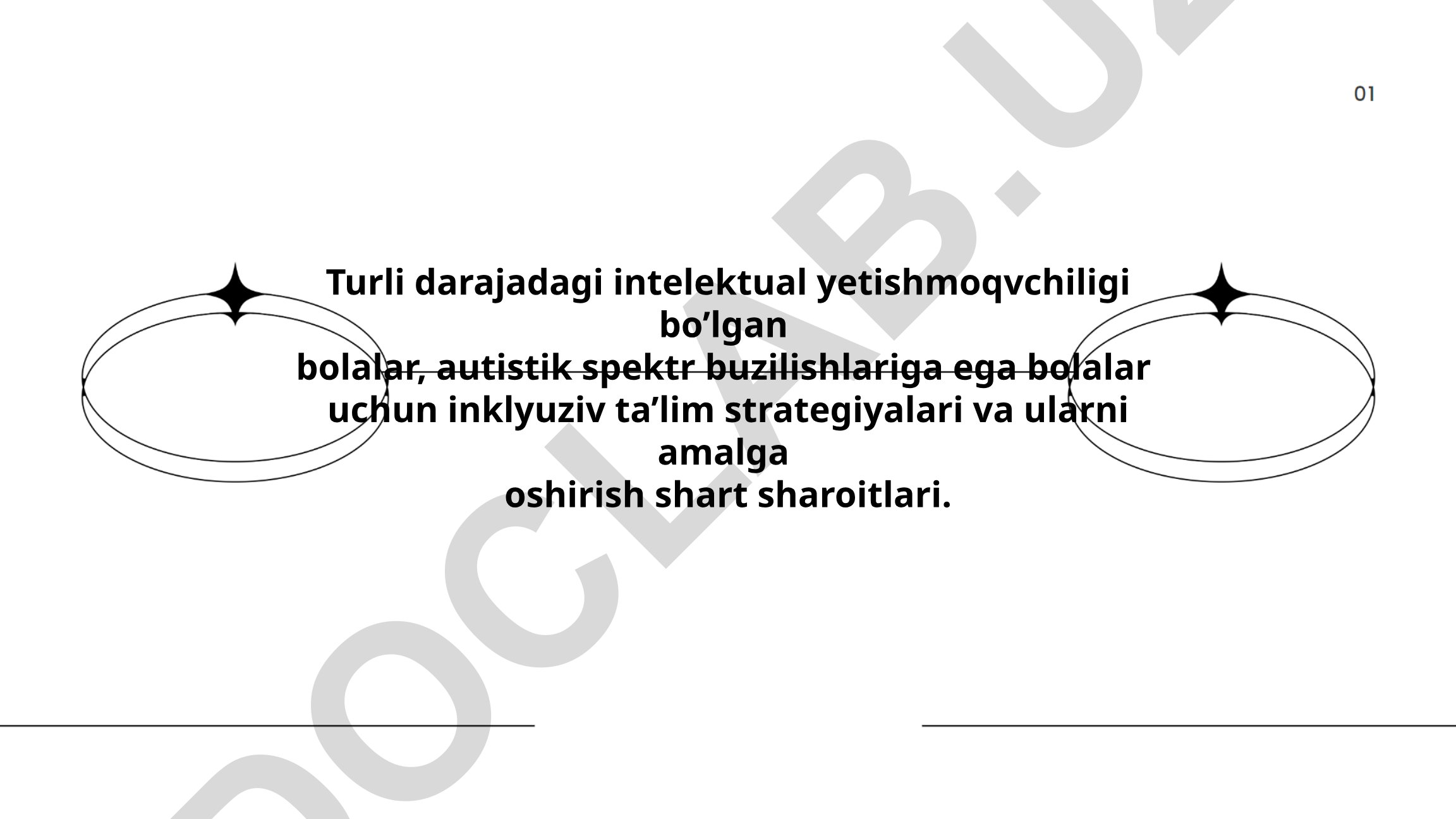 Intelektual yetishmovchiligi va autistik spektr buzilishlariga ega bolalar uchun inklyuziv ta'lim strategiyalari