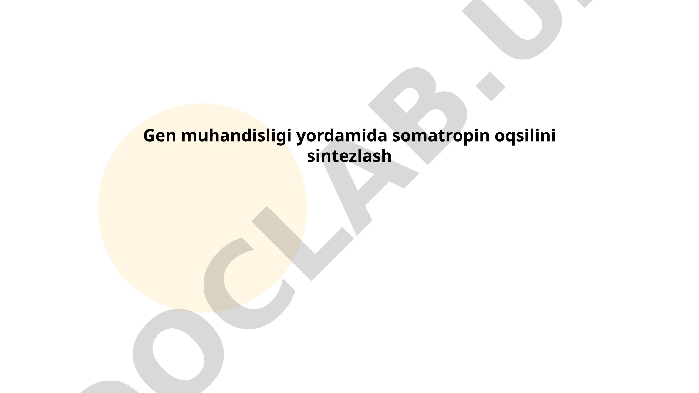 Gen muhandisligi yordamida somatropin oqsilini sintezlash