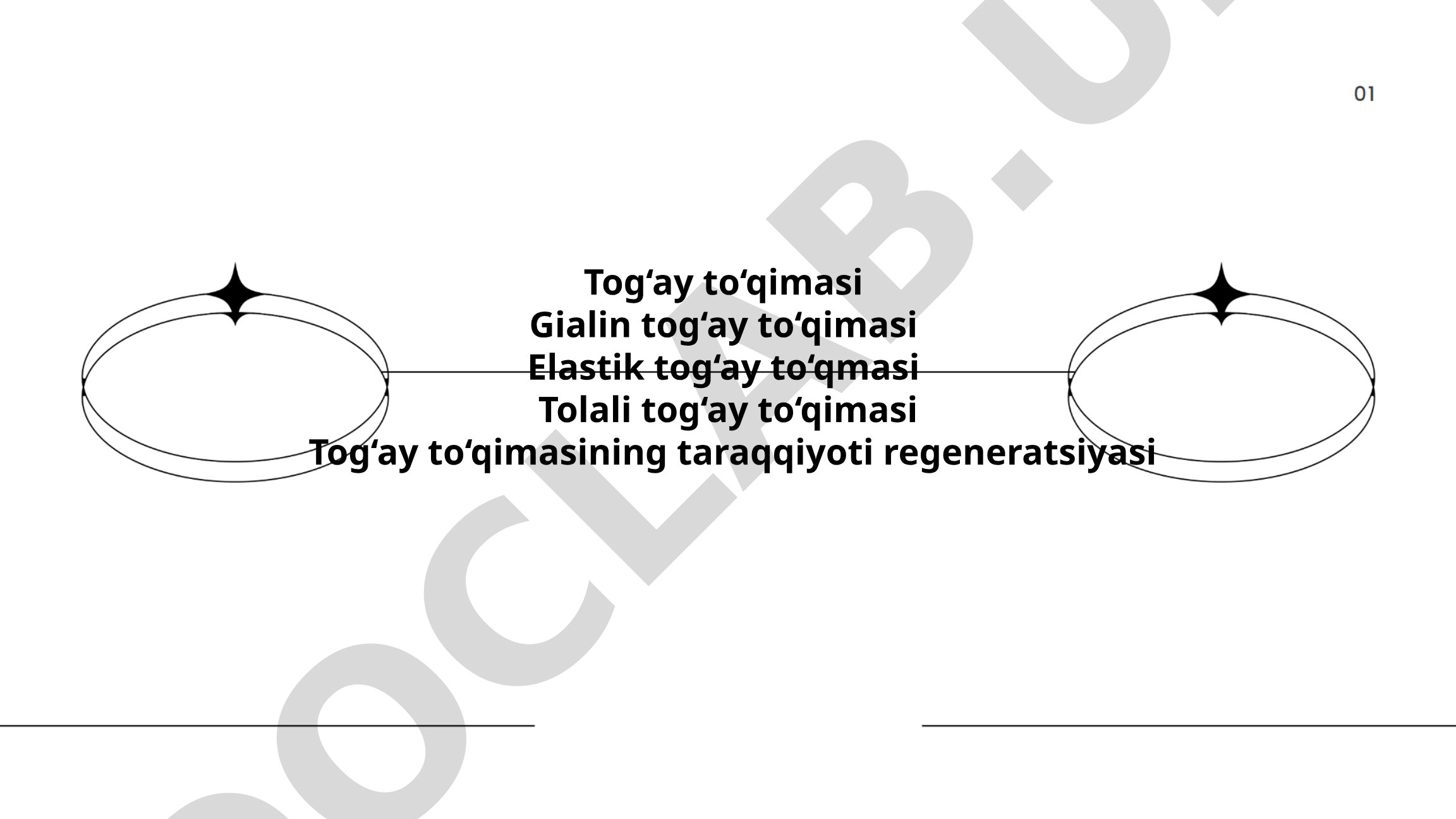 Tog'ay to'qimasining turlari va xususiyatlari