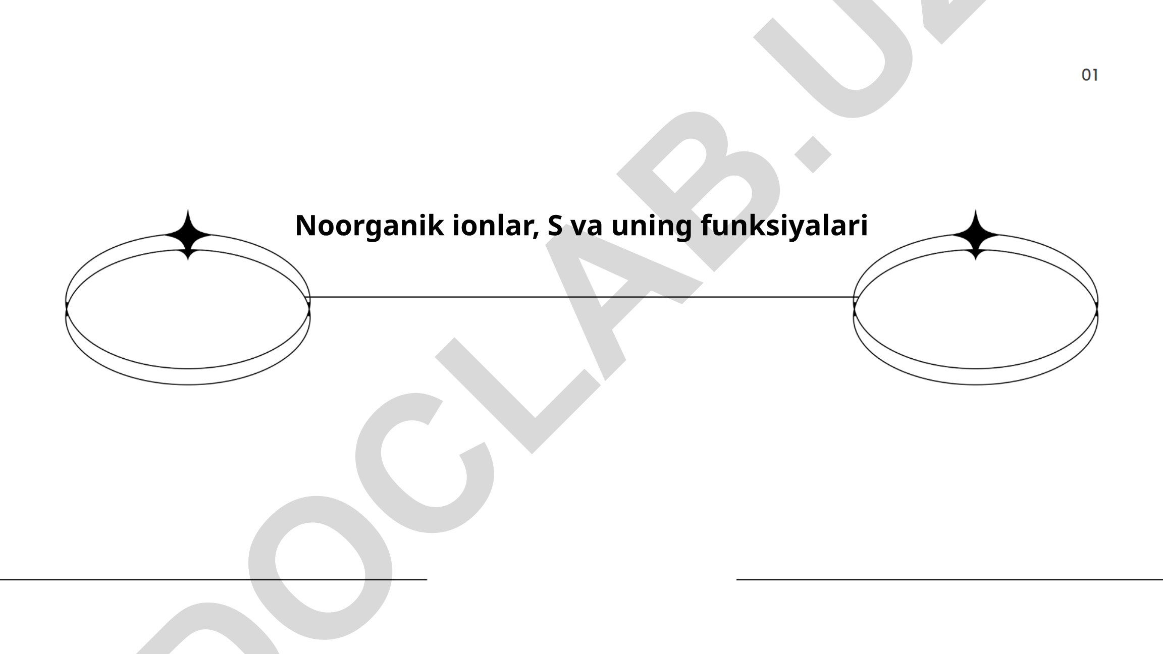 Noorganik ionlar va S atomining tuzilishi