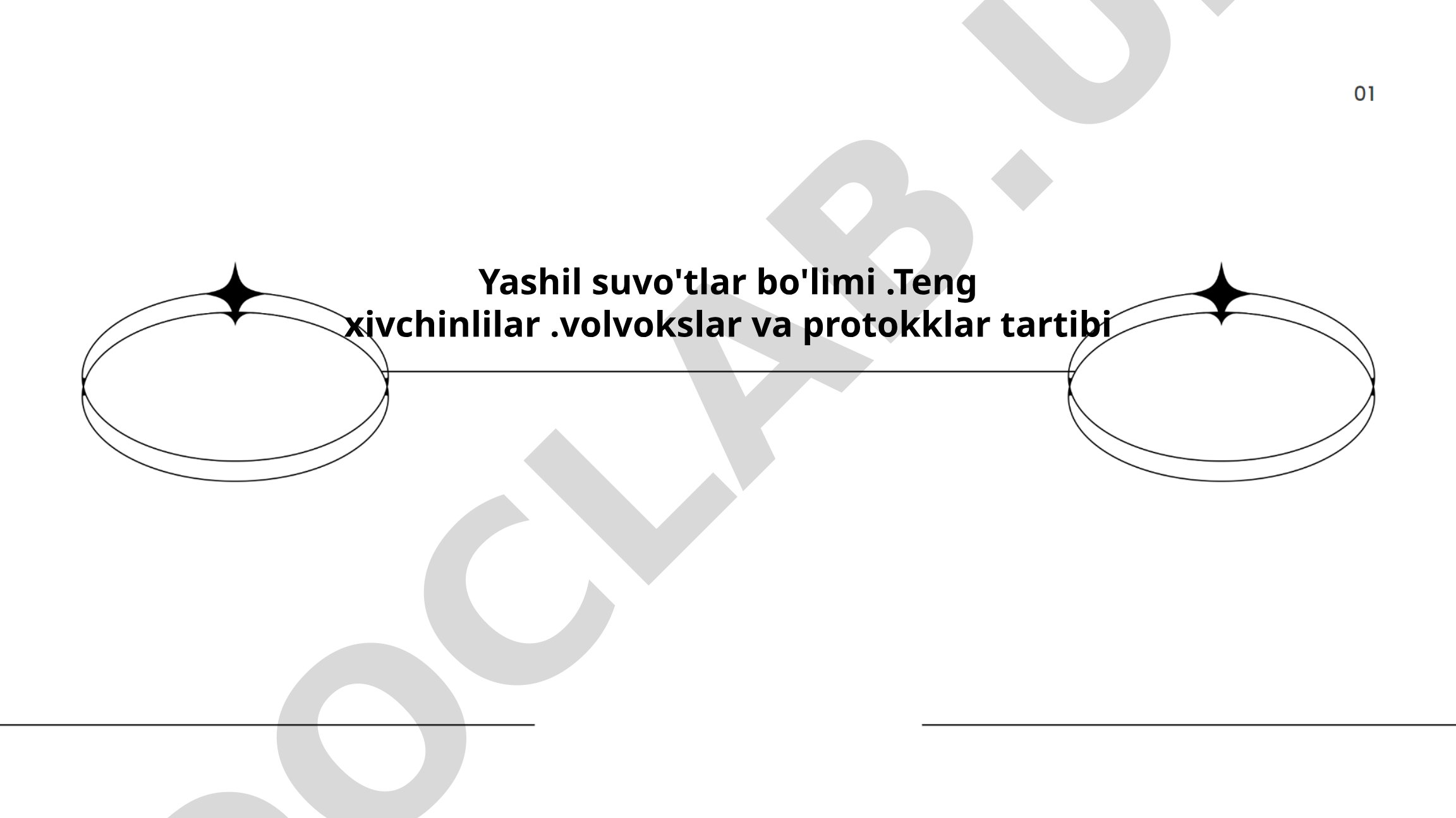 Yashil suv o'tlarining biologik xususiyatlari va foydalari