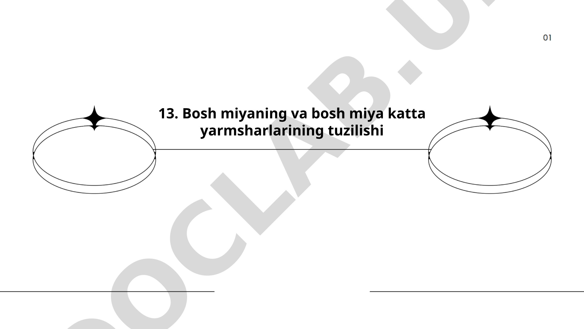 Bosh miyaning va bosh miya katta yarimsharlarining tuzilishi