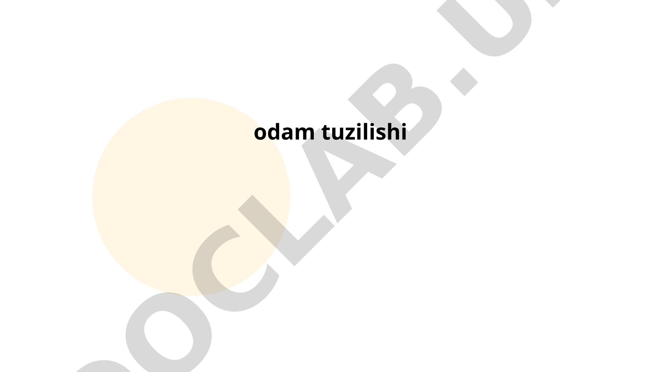 Inson tuzilishi: suyaklar, ovqat hazm qilish va yurak-qon tomir tizimlari