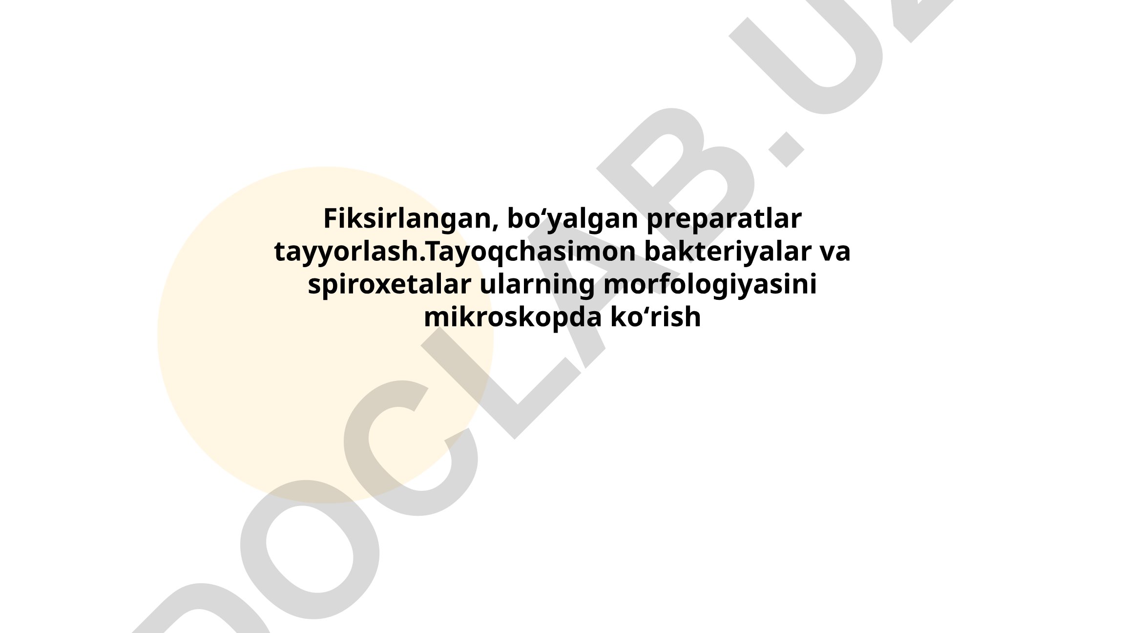 Fiksirlangan, boʻyalgan preparatlar tayyorlash va bakteriyalar morfologiyasi