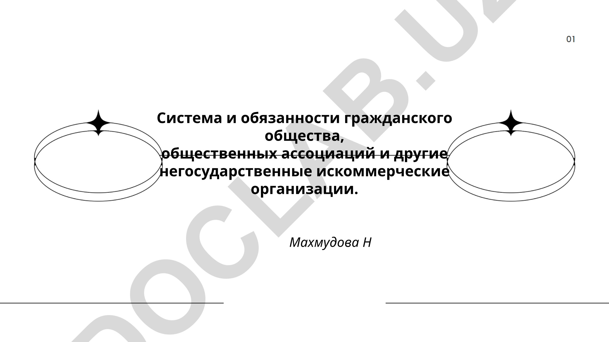 Система и обязанности гражданского общества и негосударственных организаций