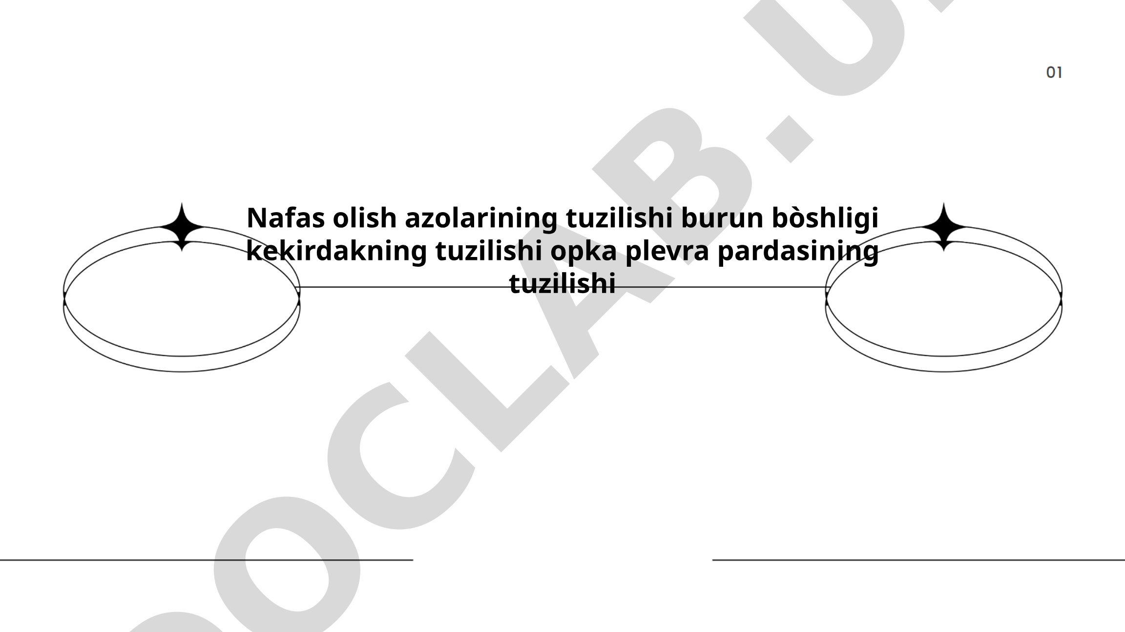 Nafas olish azolarining anatomik tuzilishi va fiziologik vazifalari