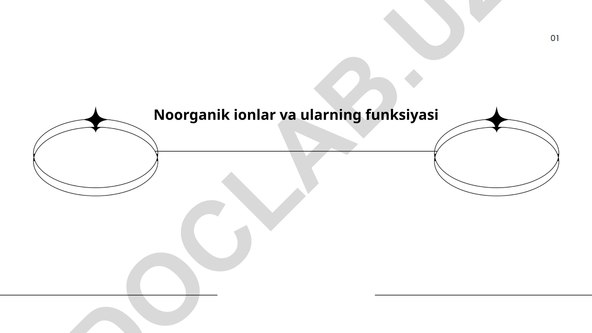 Noorganik ionlar va ularning funksiyasi