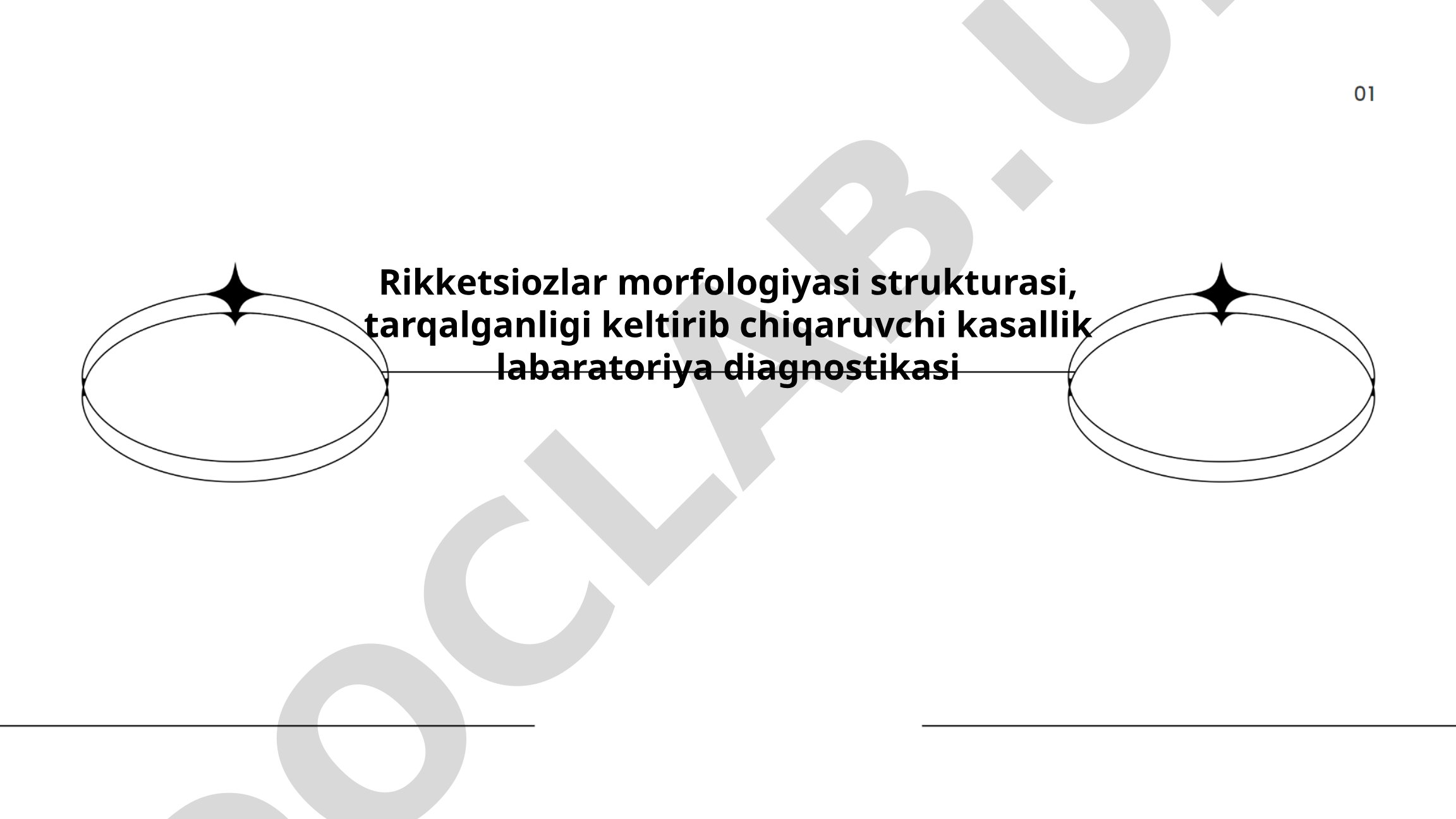 Rikketsiozlar morfologiyasi strukturasi, tarqalganligi keltirib chiqaruvchi kasallik labaratoriya diagnostikasi