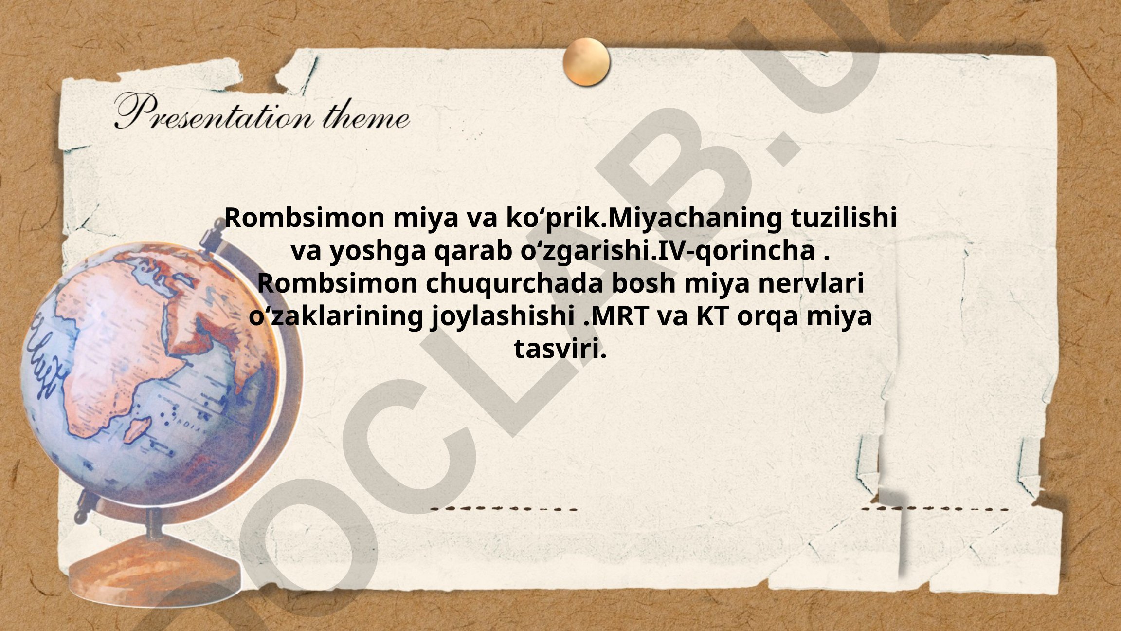 Rombsimon miya va ko'prik tuzilishi, miyacha va IV-qorincha
