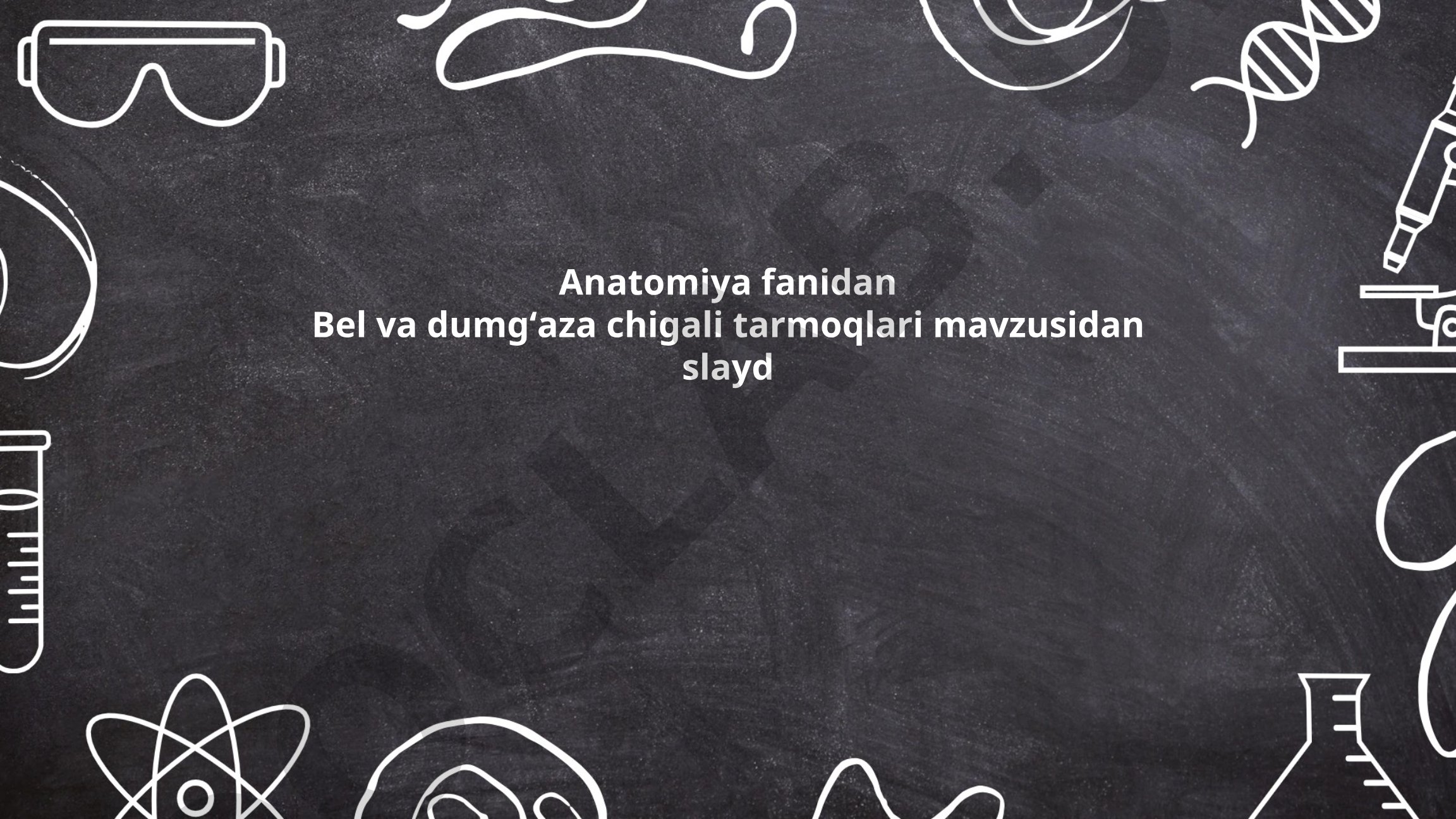 Bel va dumgʻaza chigali tarmoqlari