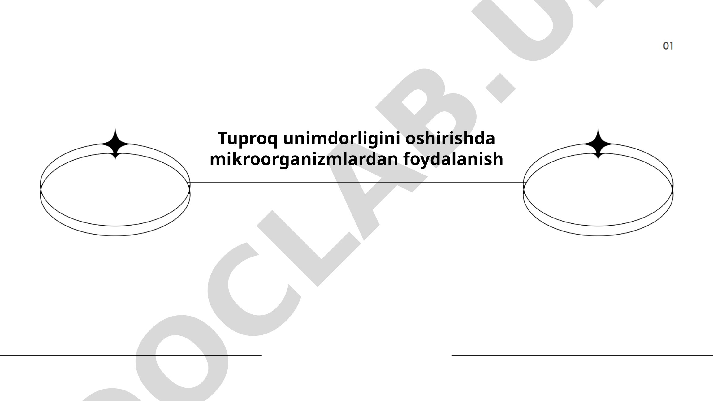 Tuproq unumdorligini oshirishda mikroorganizmlardan foydalanish