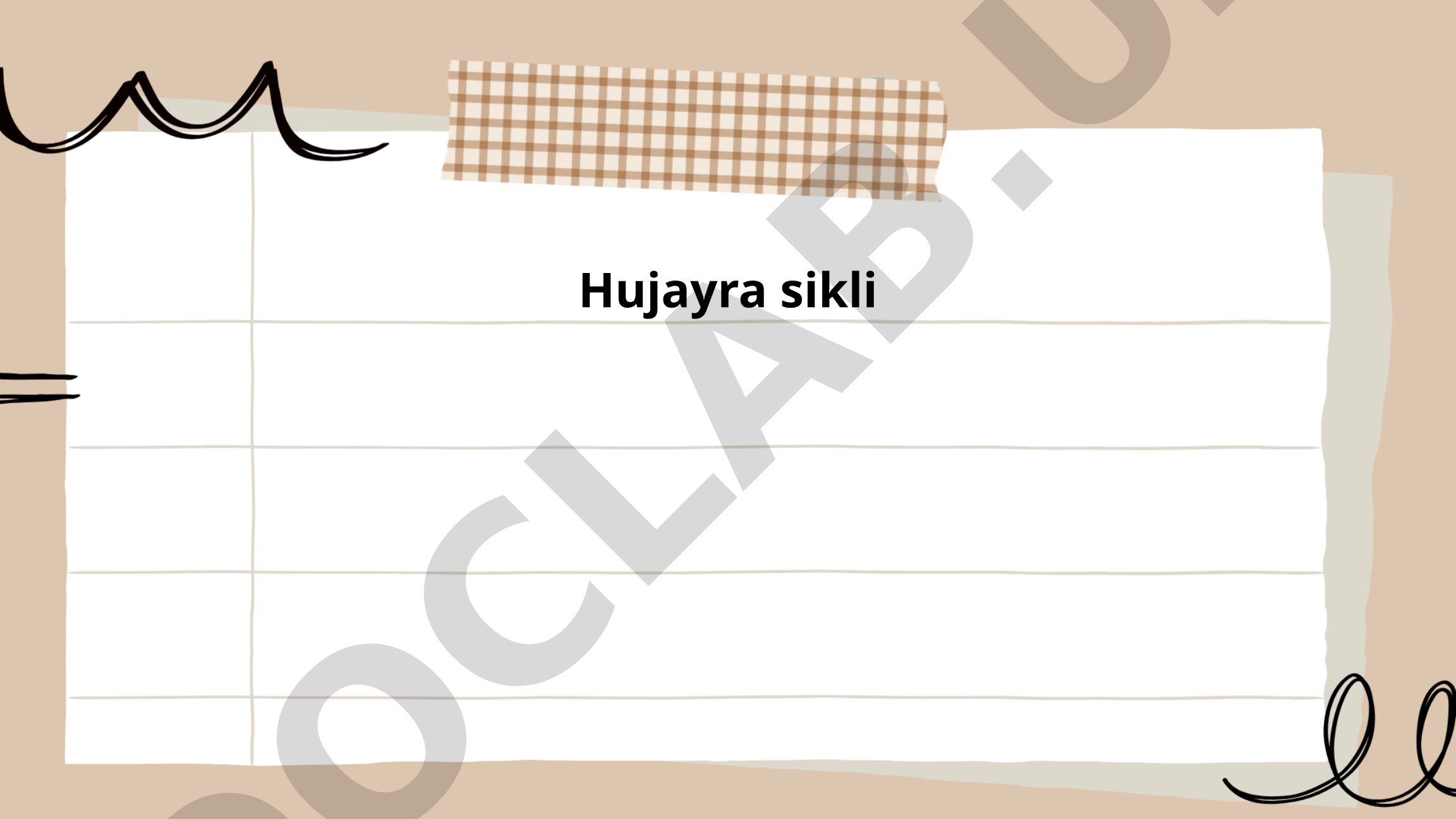 Hujayra sikli