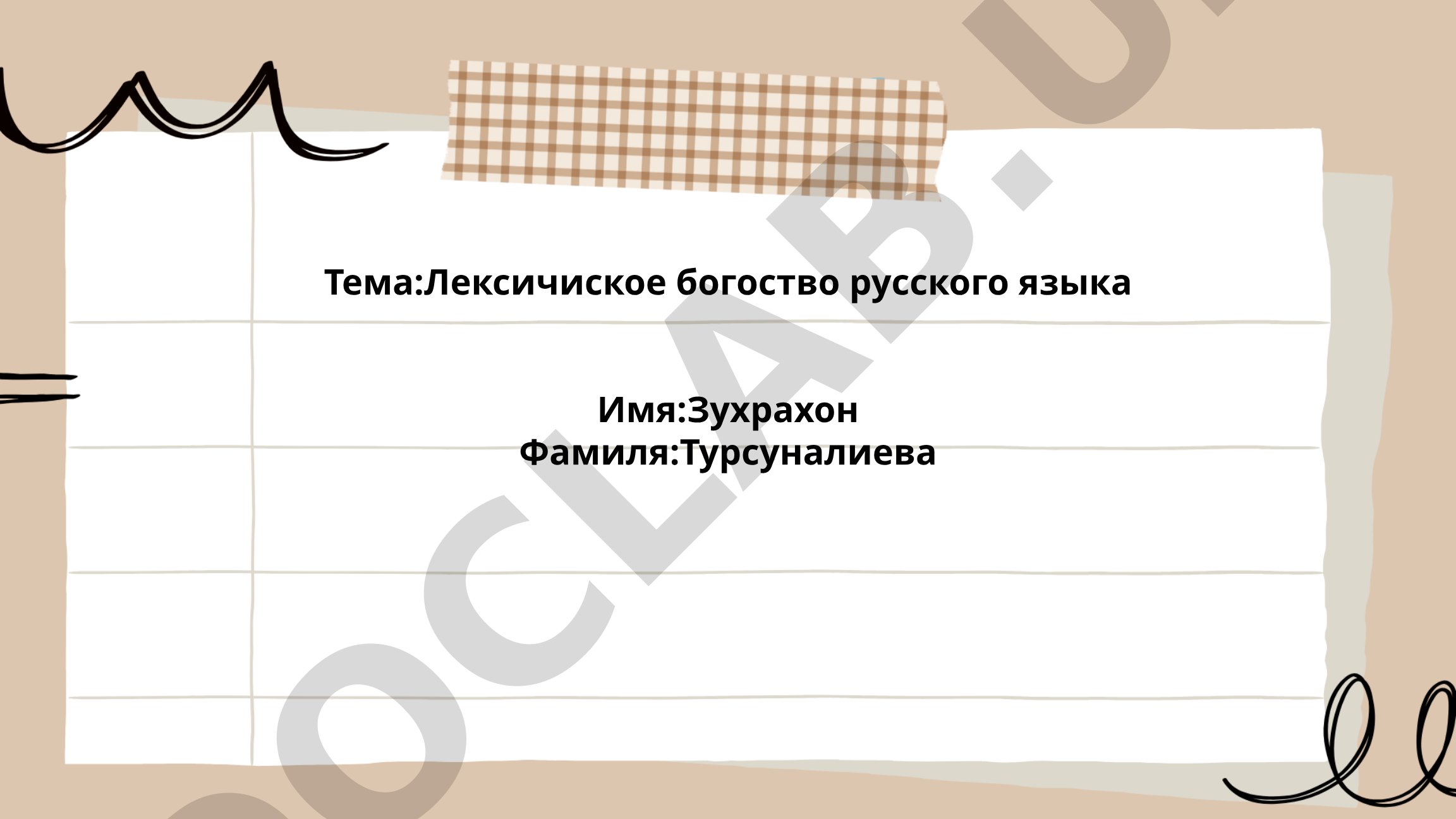 Лексическое богатство русского языка