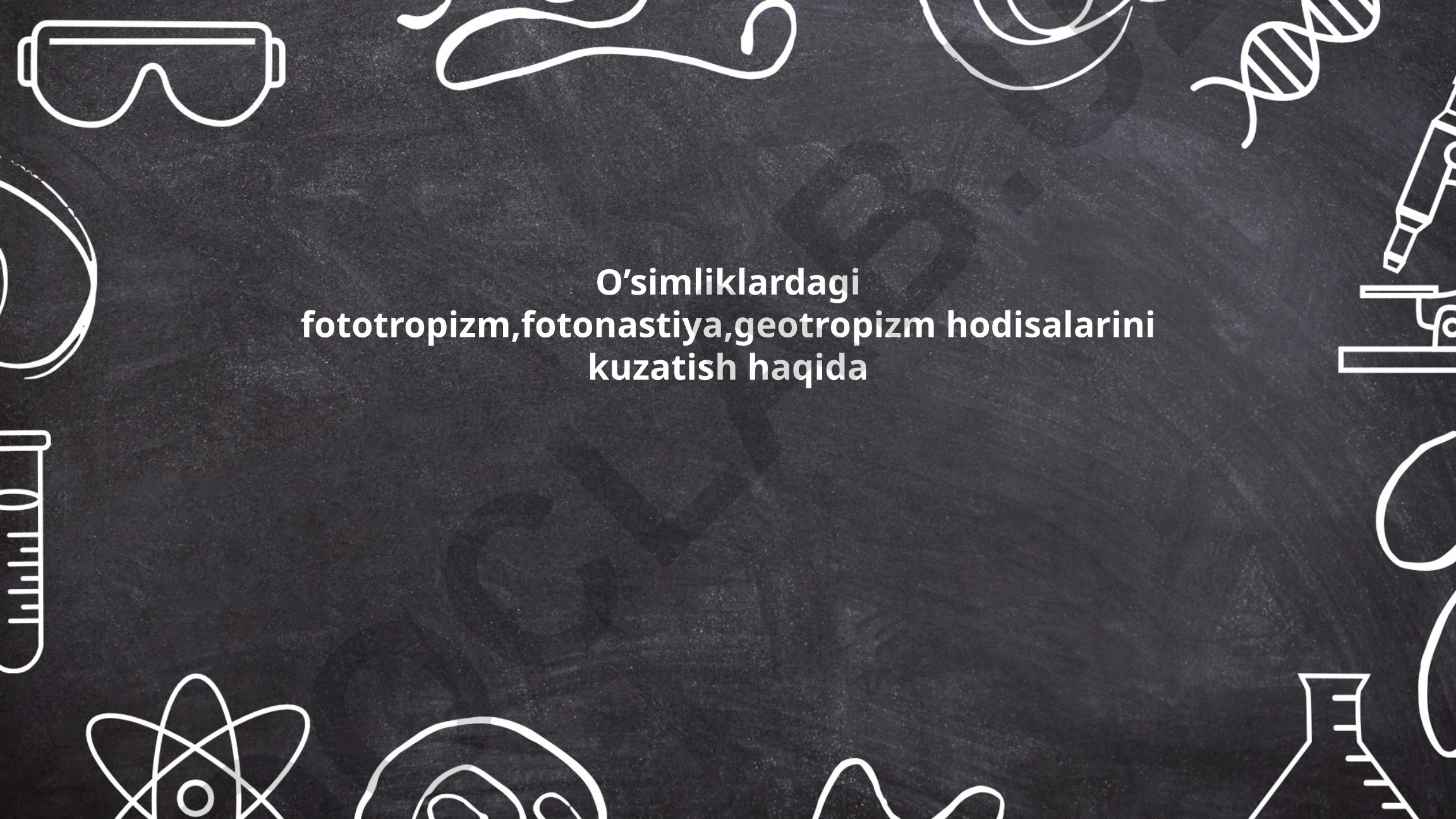 O'simliklardagi fototropizm, fotonastiya va geotropizm hodisalarini kuzatish