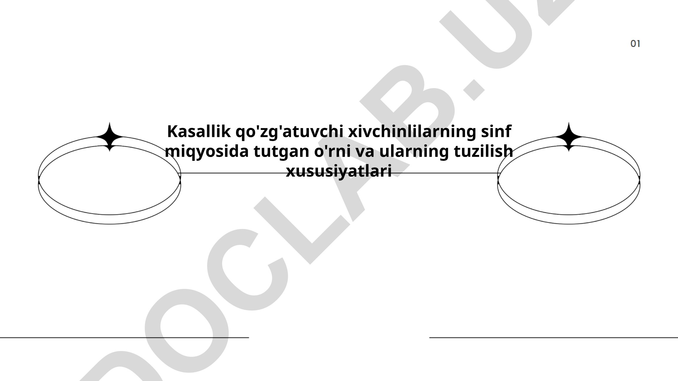 Kasallik qo'zg'atuvchi xivchinlilarning sinf miqyosida tutgan o'rni va tuzilish xususiyatlari