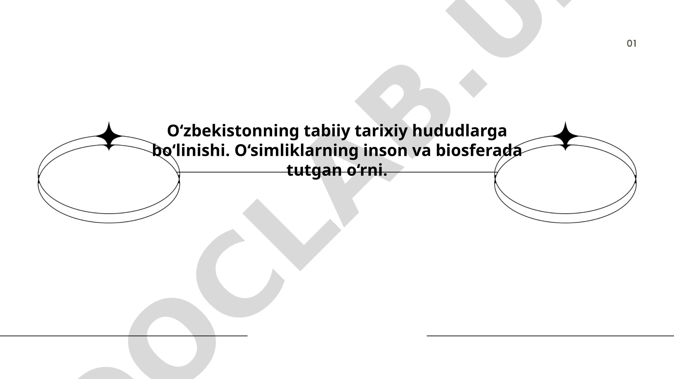 O‘zbekistonning tabiiy tarixiy hududlarga bo‘linishi va o‘simliklarning o‘rni