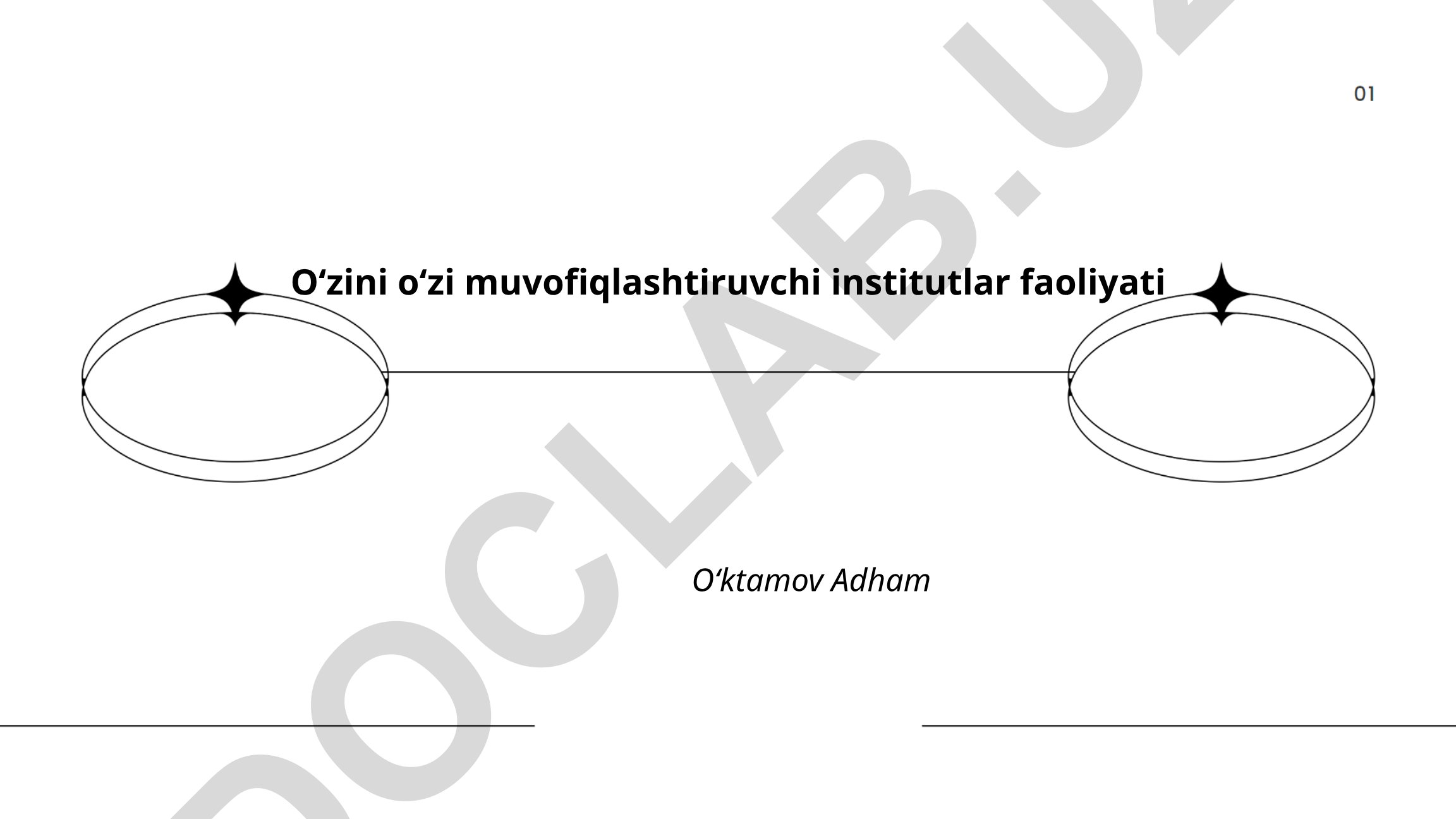 O'zini o'zi muvofiqlashtiruvchi institutlar faoliyati