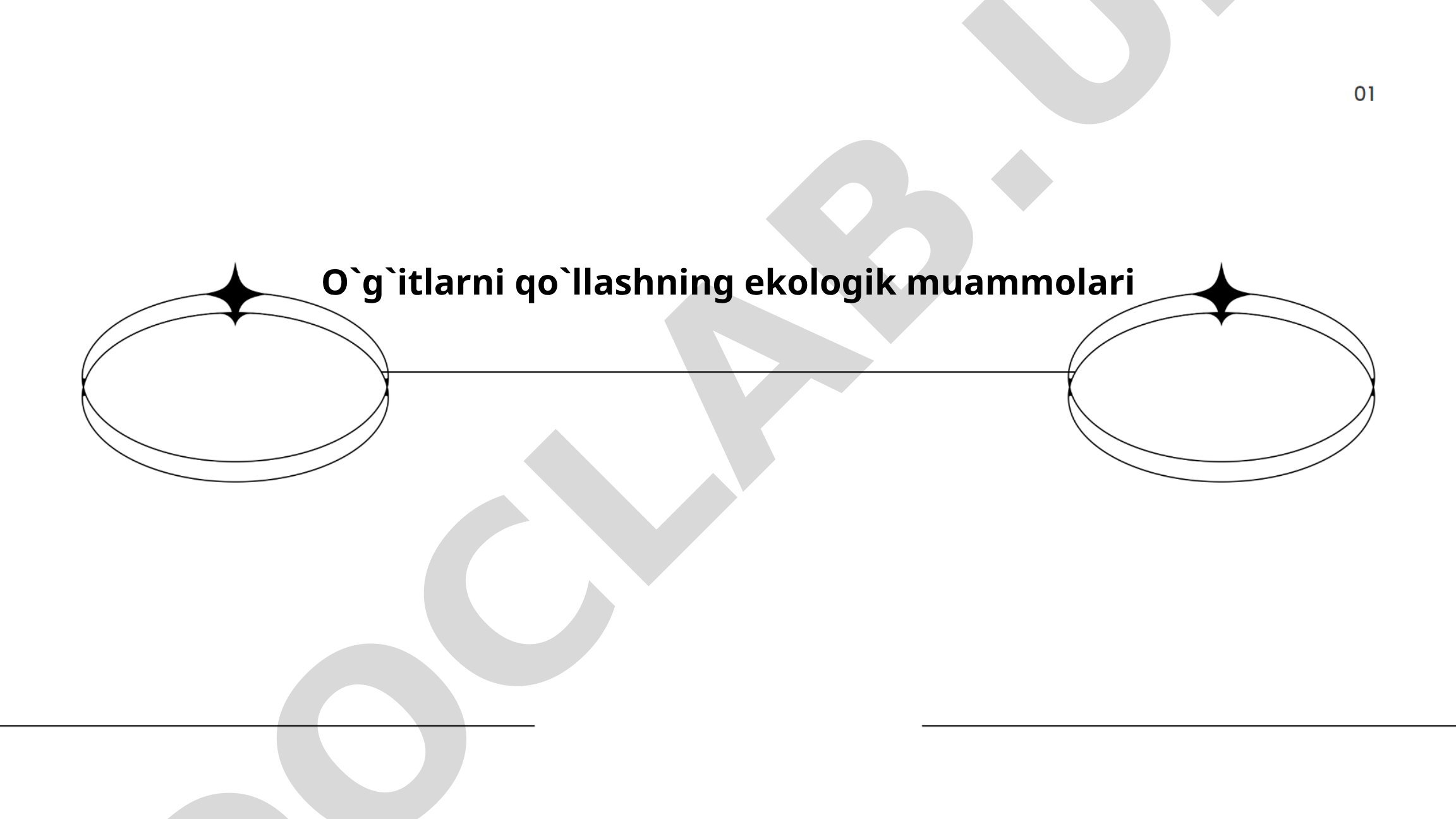 O'g'itlarni qo'llashning ekologik muammolari